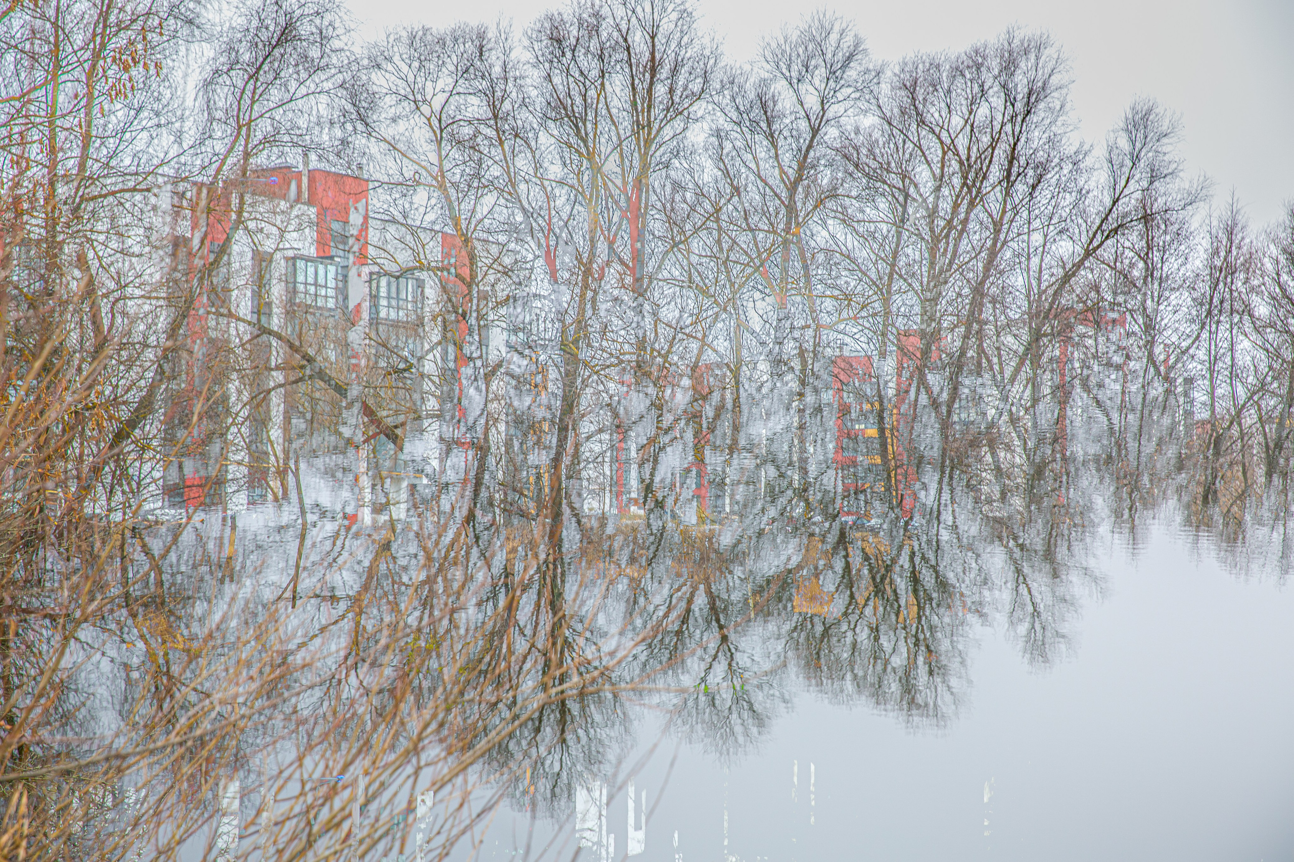 СТРОФА 2 — ЦВЕТОВЕДЕНИЕ. Photographer Anna Arzamastseva