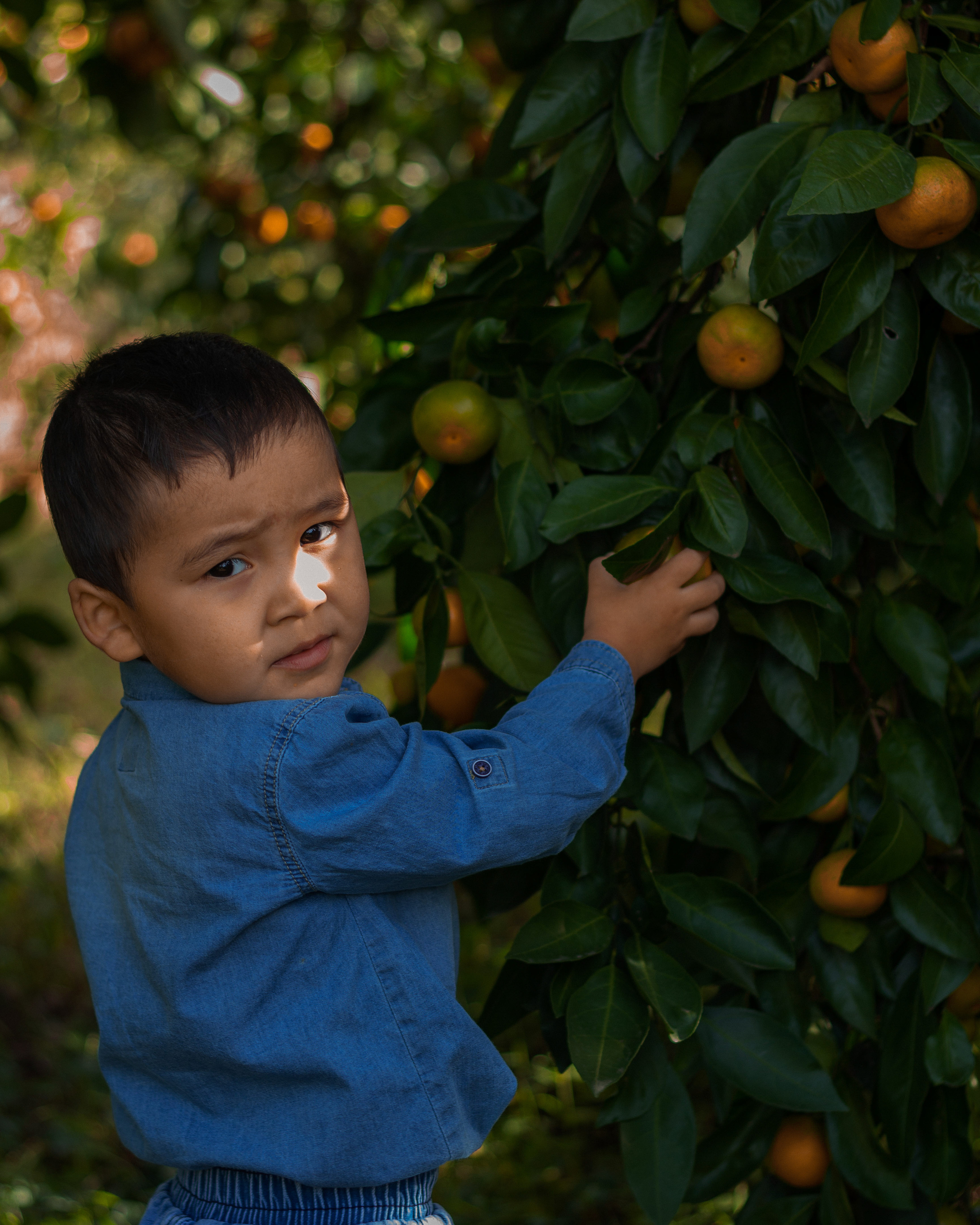 Линара и Жанали. Фотограф в Краснодаре Никольская Екатерина