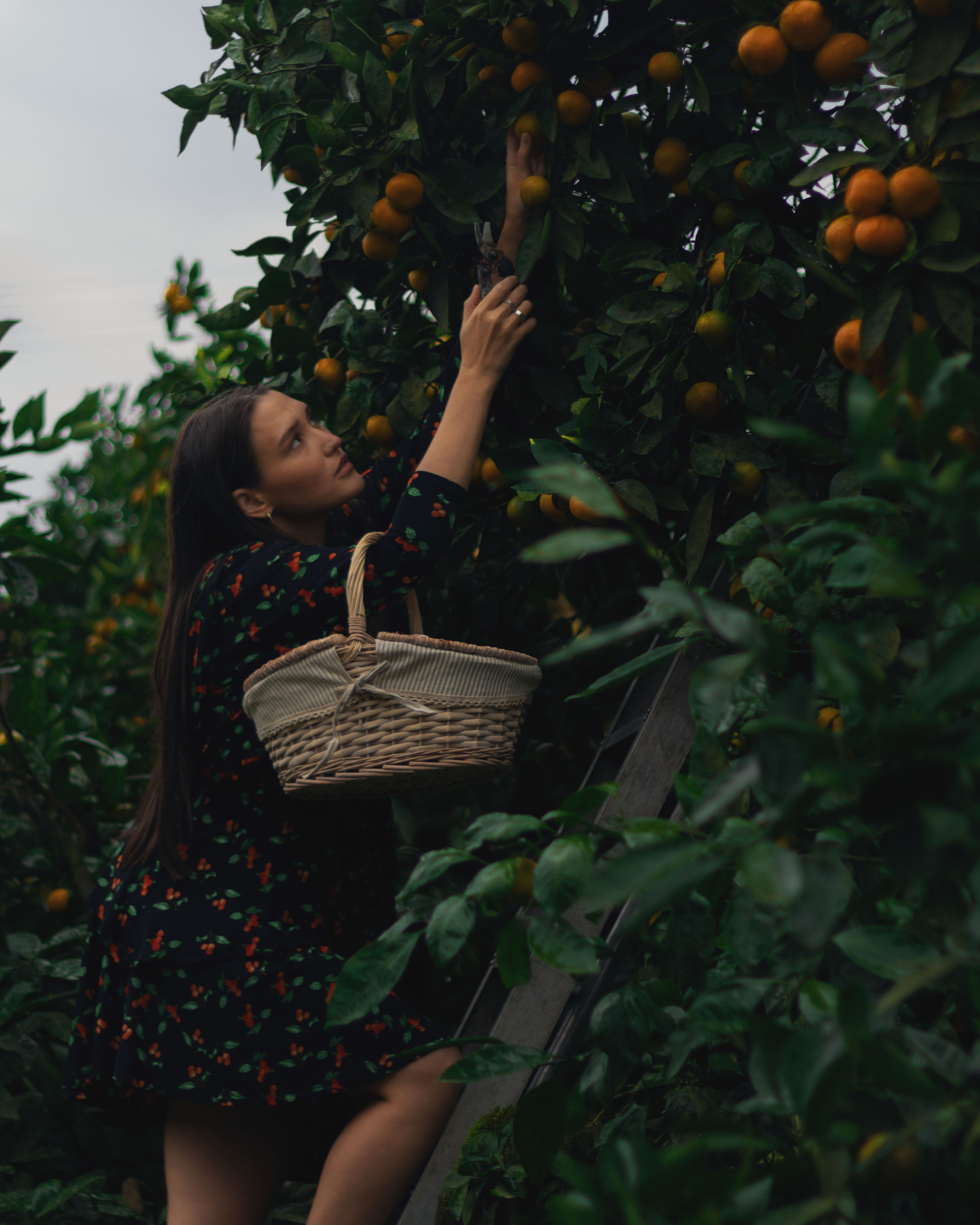 Алиса. Фотограф в Краснодаре Никольская Екатерина