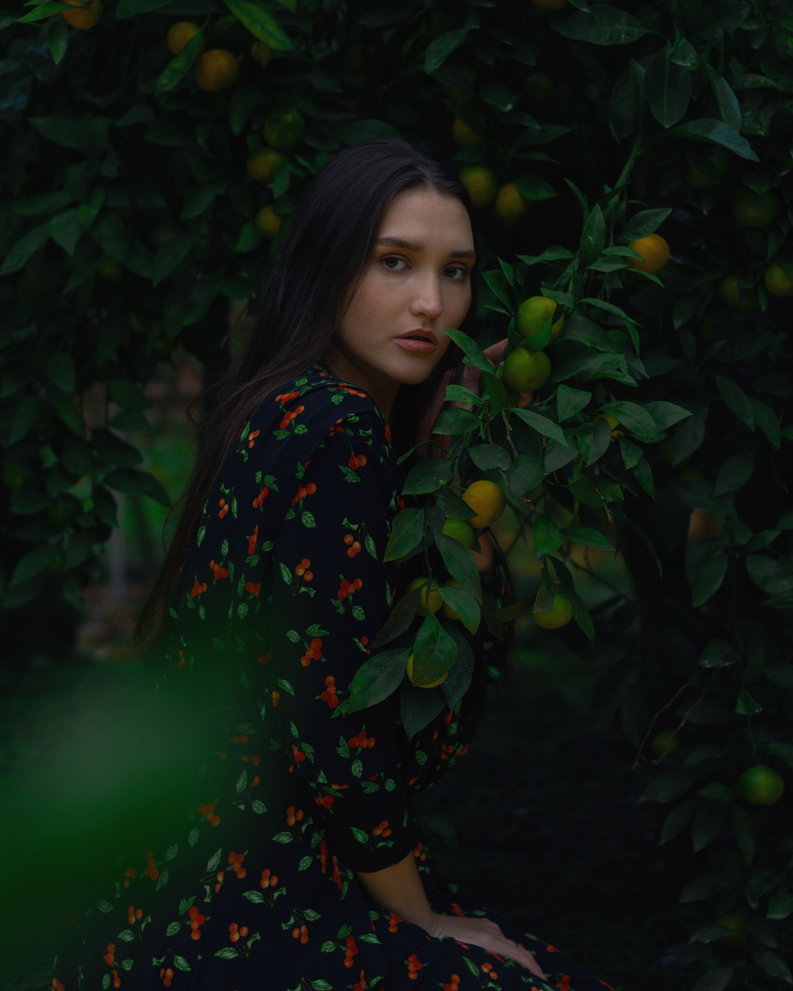 Алиса. Фотограф в Краснодаре Никольская Екатерина