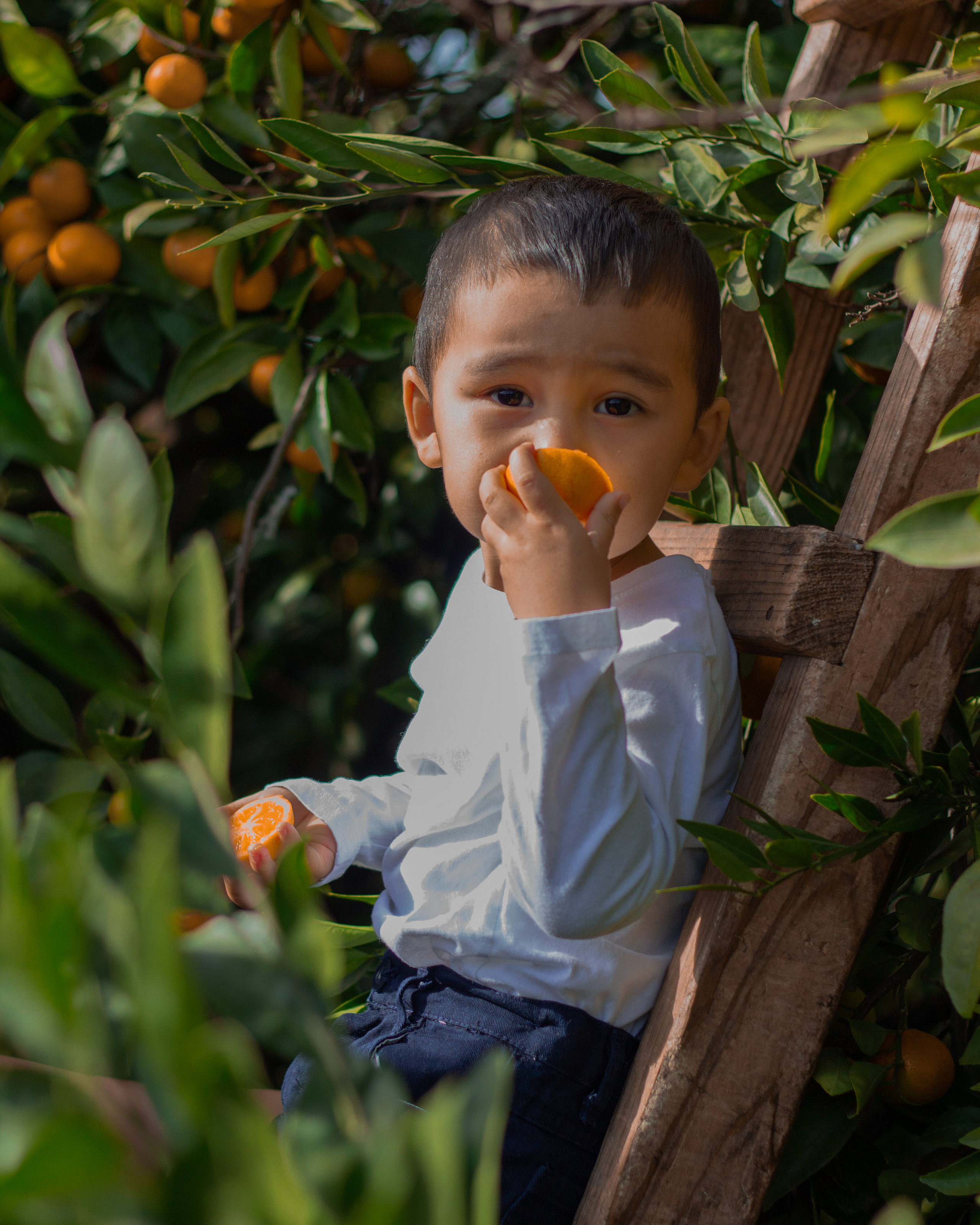 Линара и Жанали. Фотограф в Краснодаре Никольская Екатерина