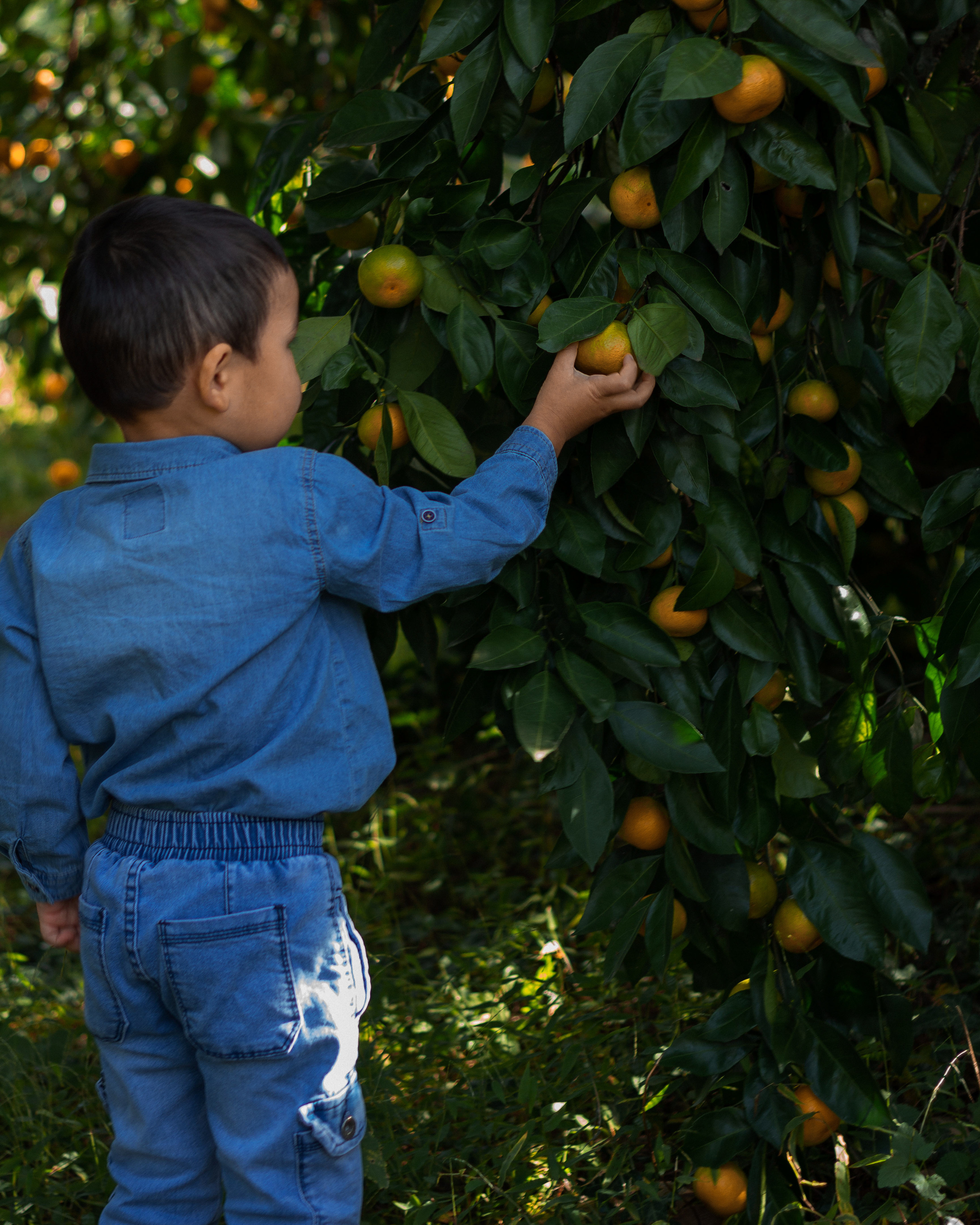 Линара и Жанали. Фотограф в Краснодаре Никольская Екатерина