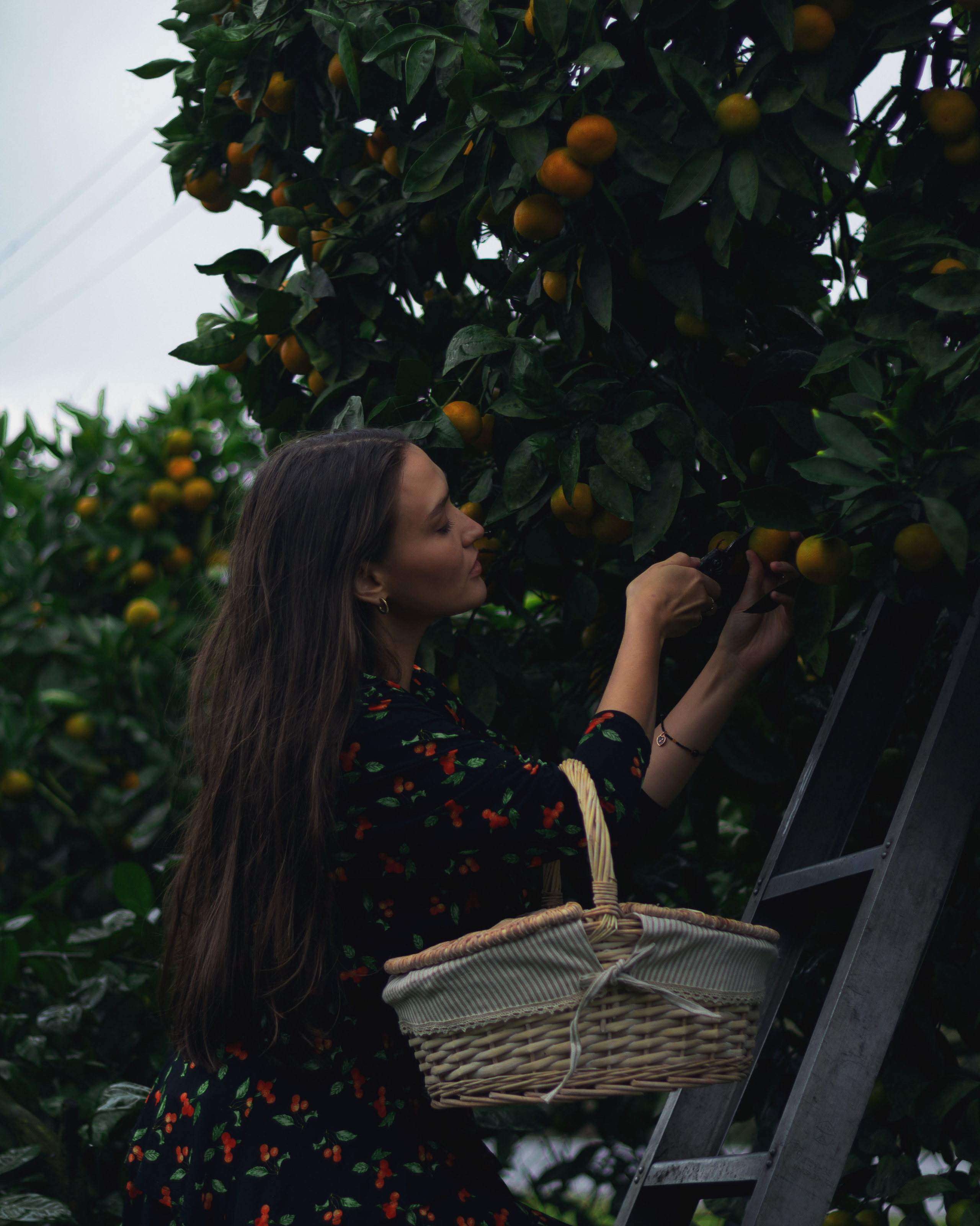 Алиса. Фотограф в Краснодаре Никольская Екатерина