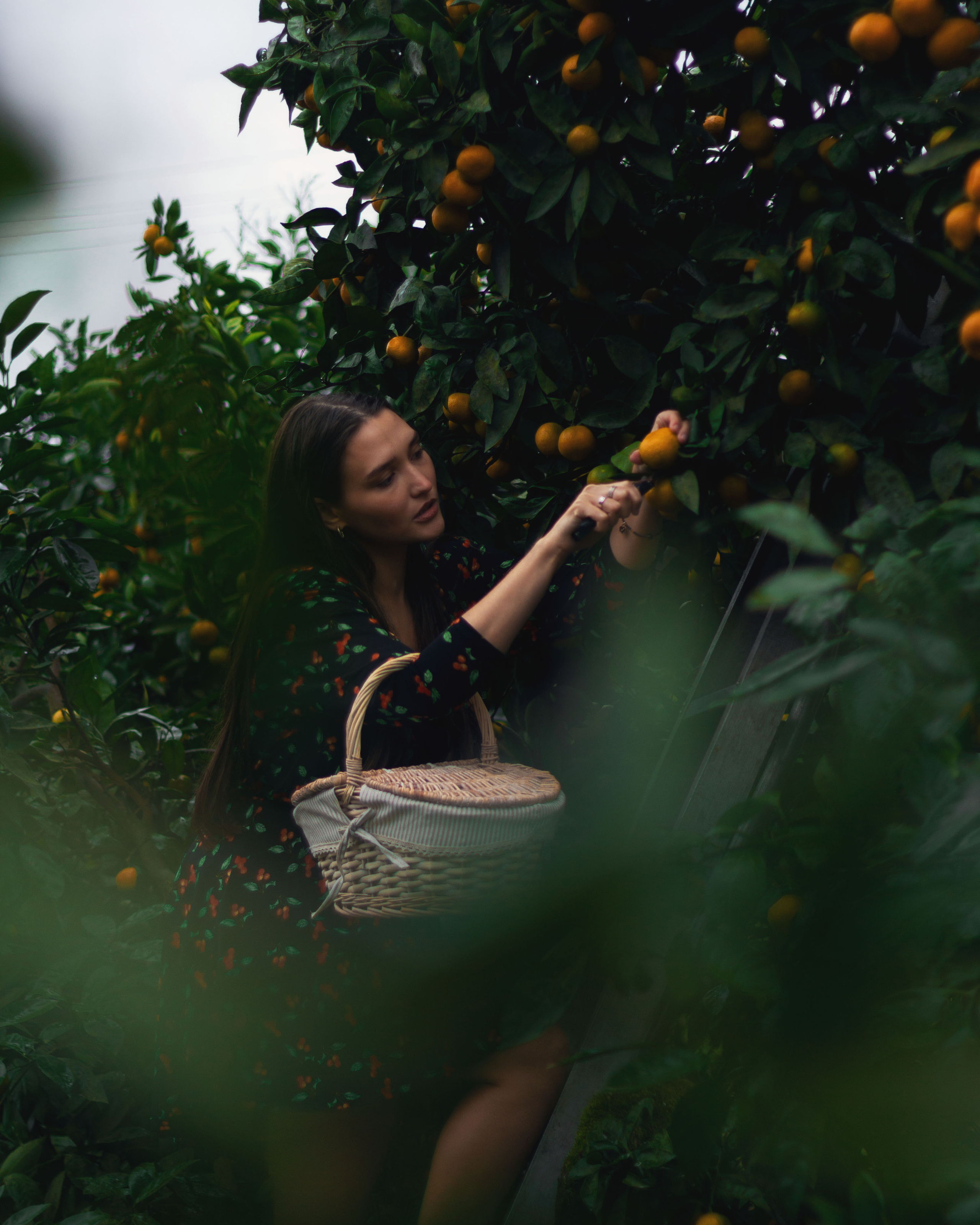Алиса. Фотограф в Краснодаре Никольская Екатерина