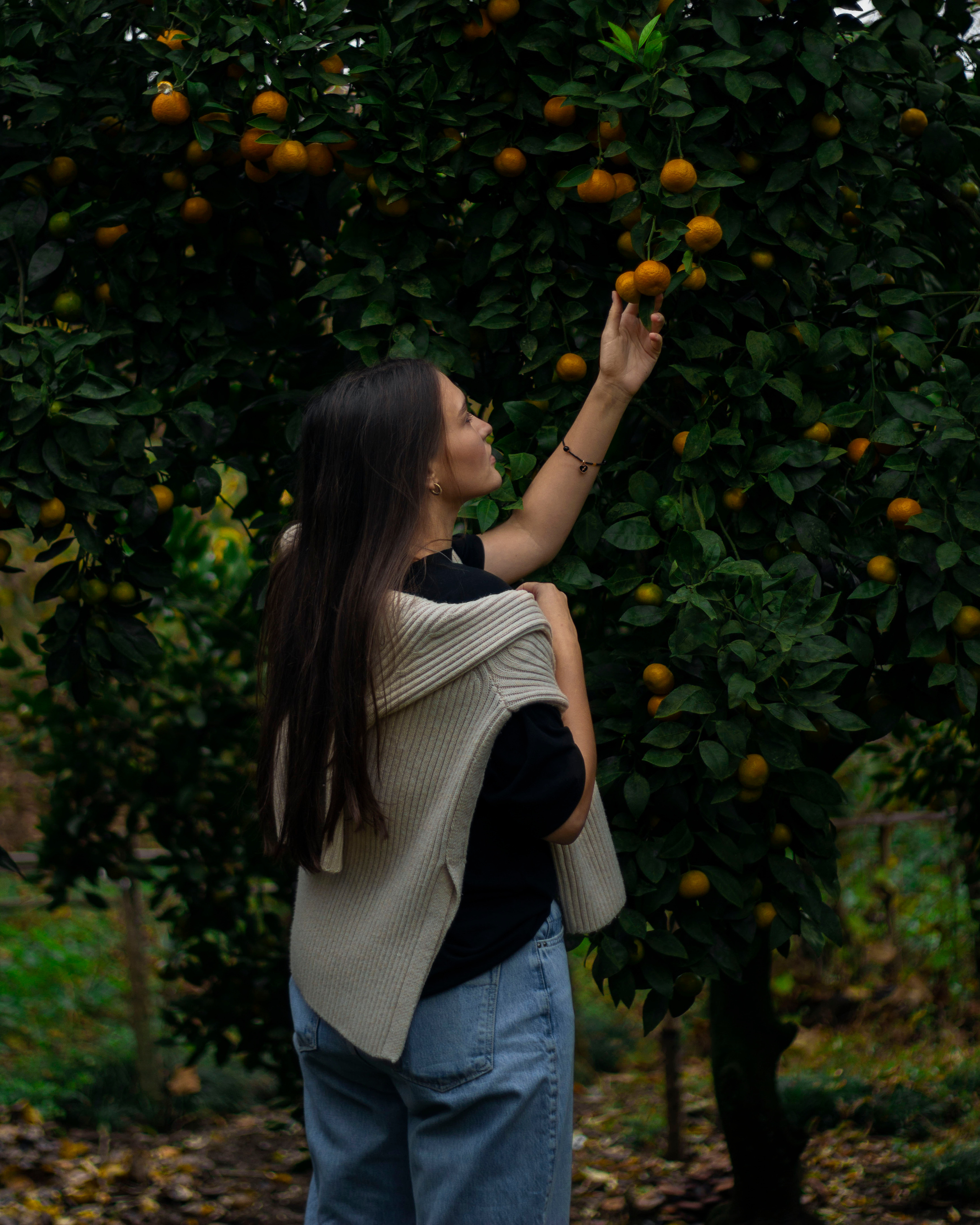 Алиса. Фотограф в Краснодаре Никольская Екатерина