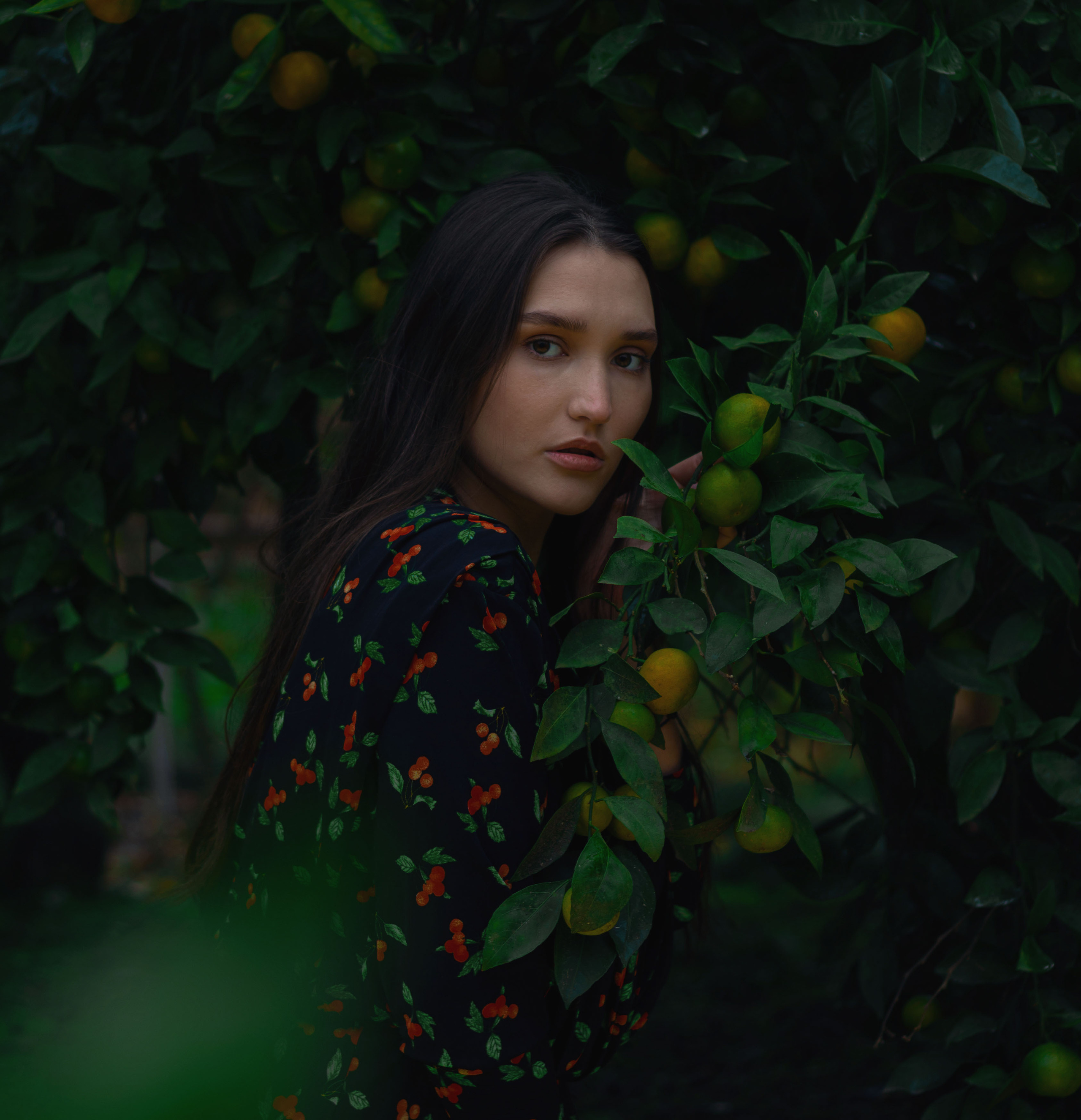 Алиса. Фотограф в Краснодаре Никольская Екатерина