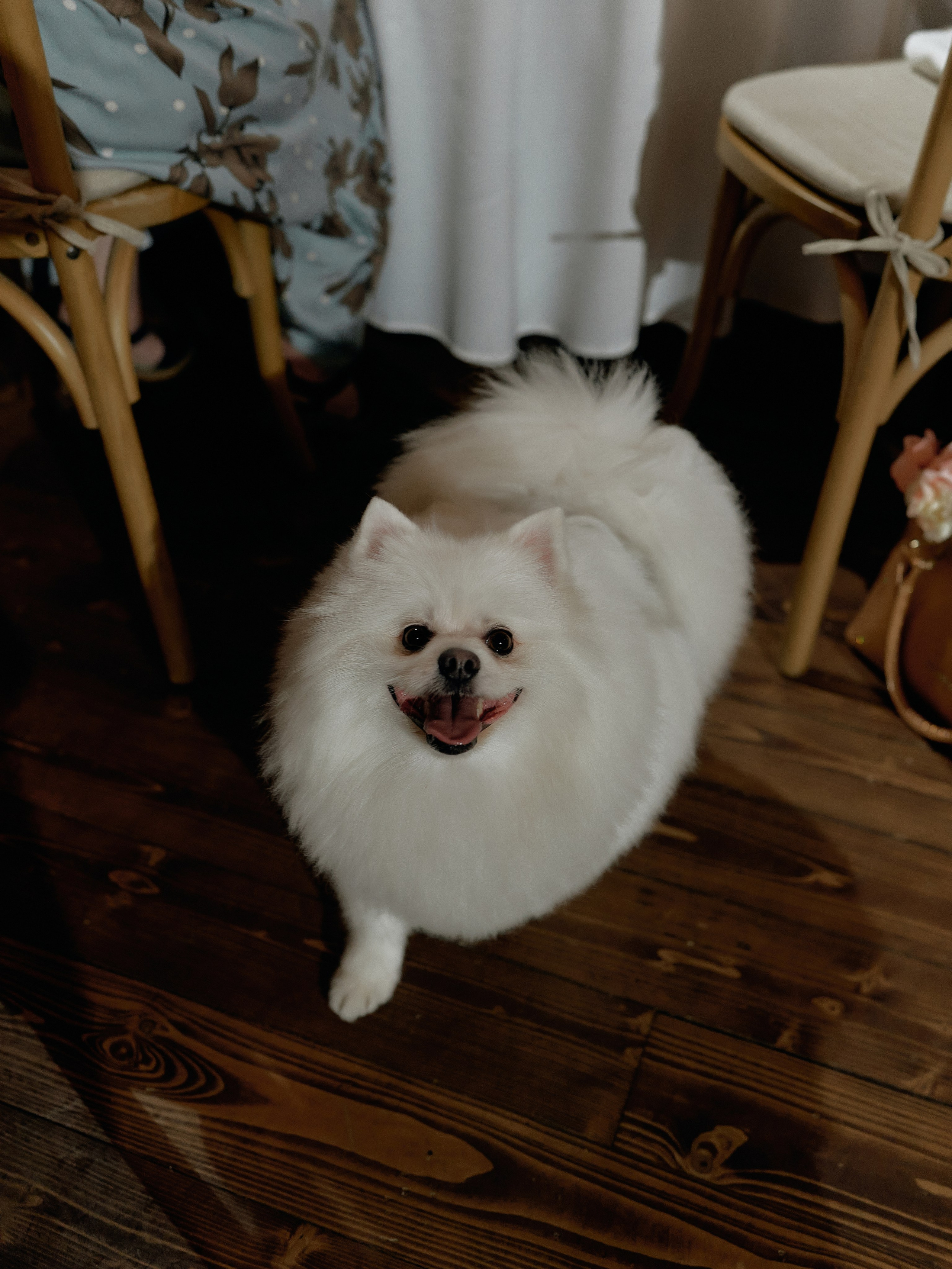 Константин и Ксения 16.09.2023. Фотограф и видеограф Елена Хмелевская