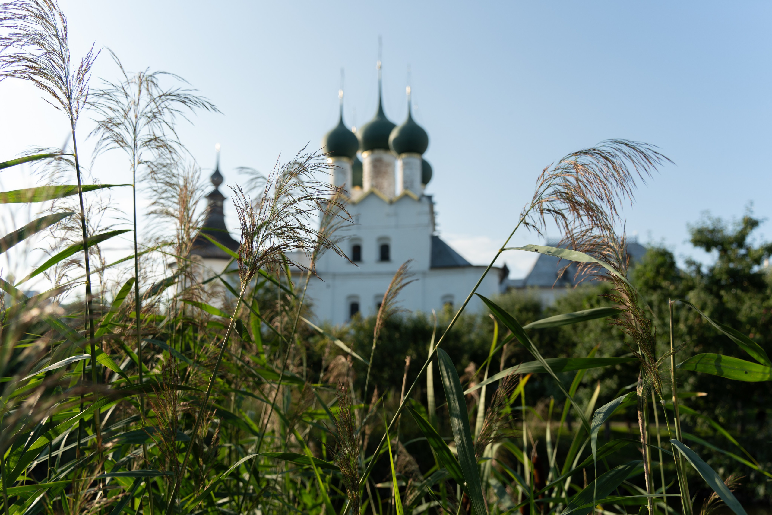 20250729-30 Ростов. Дмитрий Ремизов. Фотография, как хобби