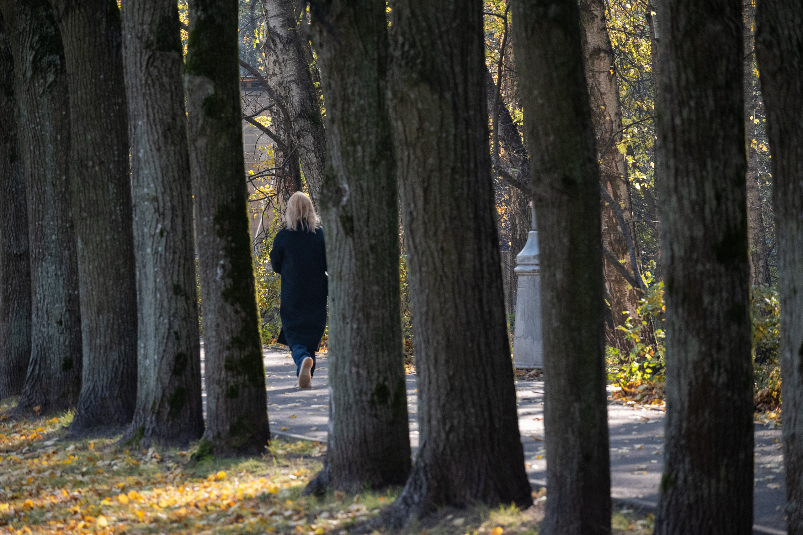 20241012 Измайлово. Дмитрий Ремизов. Фотография, как хобби