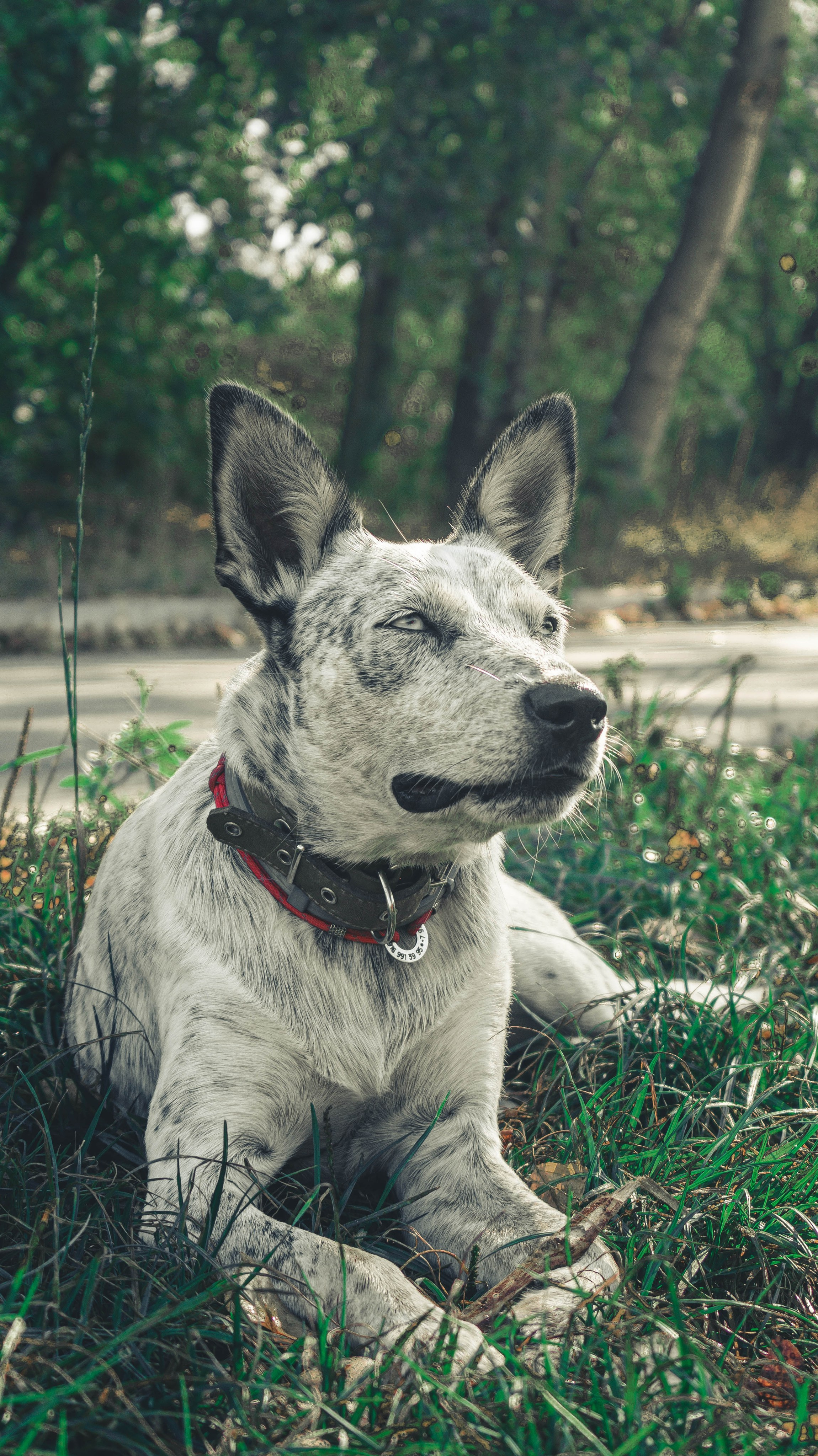 Цунами. Профессиональный фотограф