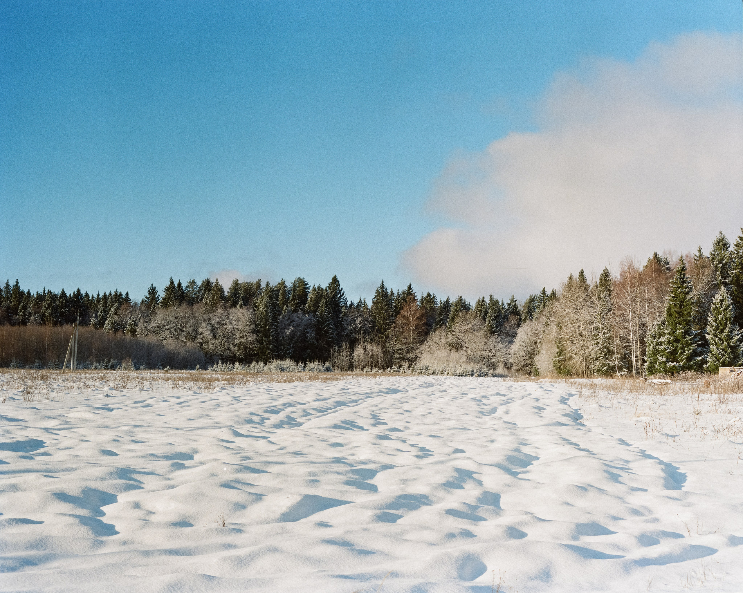 Pentax 67 — SMC Pentax 67 105 mm f/2.4 / Kodak Portra 800 / 3 января Лукино