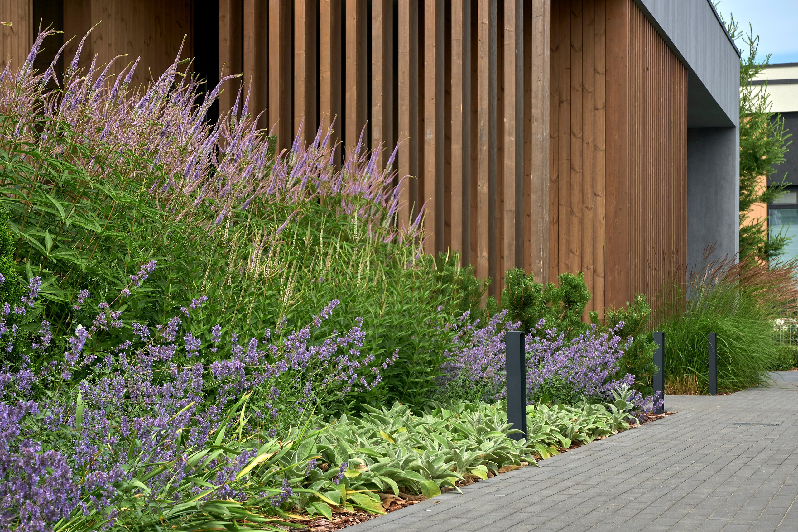 Ландшафтный и интерьерный фотограф Наталья Соловьева. Фотосъемка озеленения территории в КП Репинская Усадьба-4 для ландшафтной студии Аквилегия | interioto