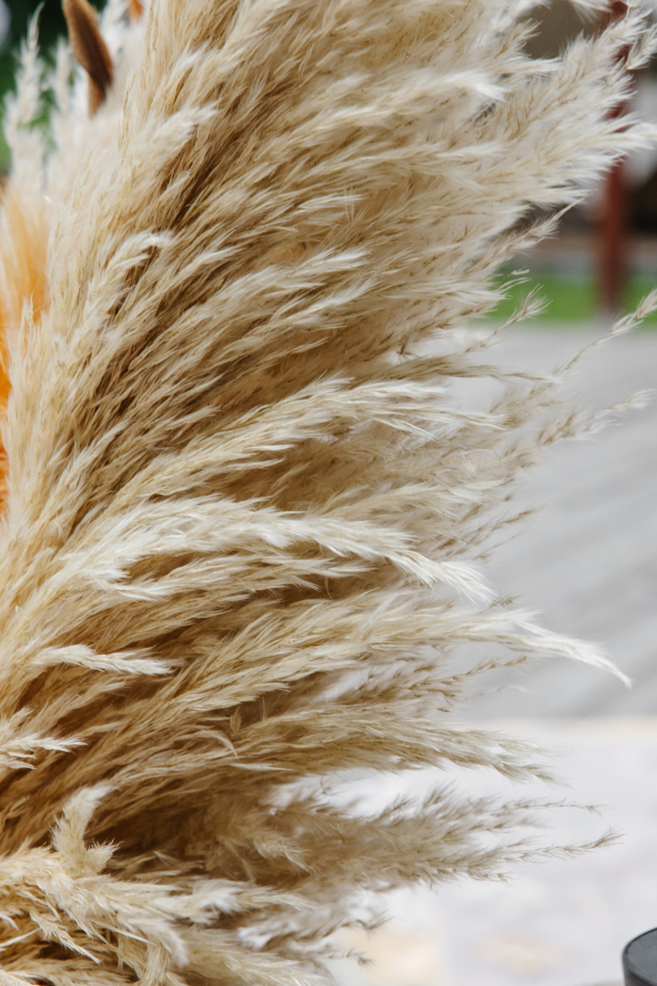 ГРЕНАДА. Фотограф в Красноярске