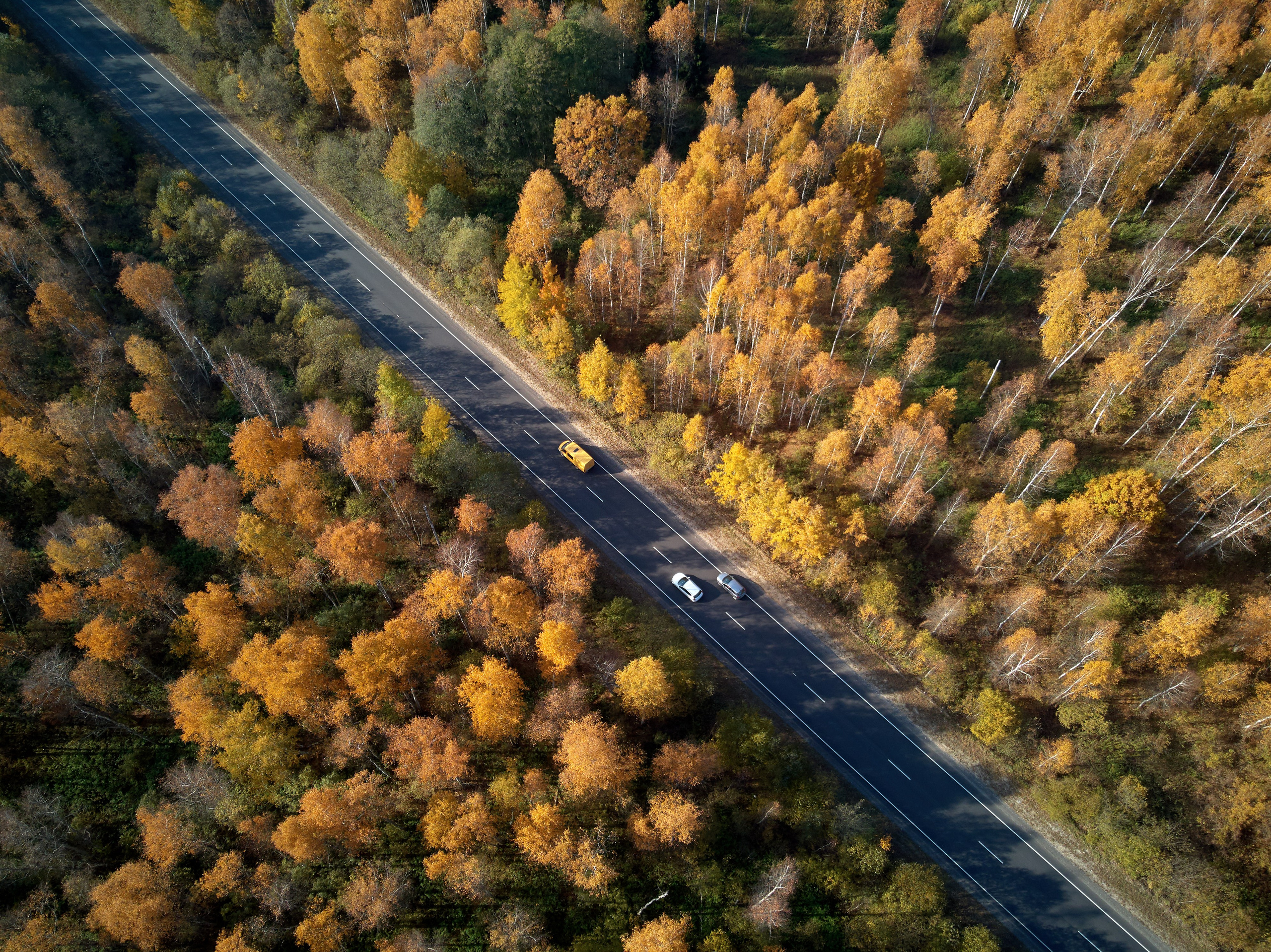 Авторская фотография фотографа Бориса Флорина