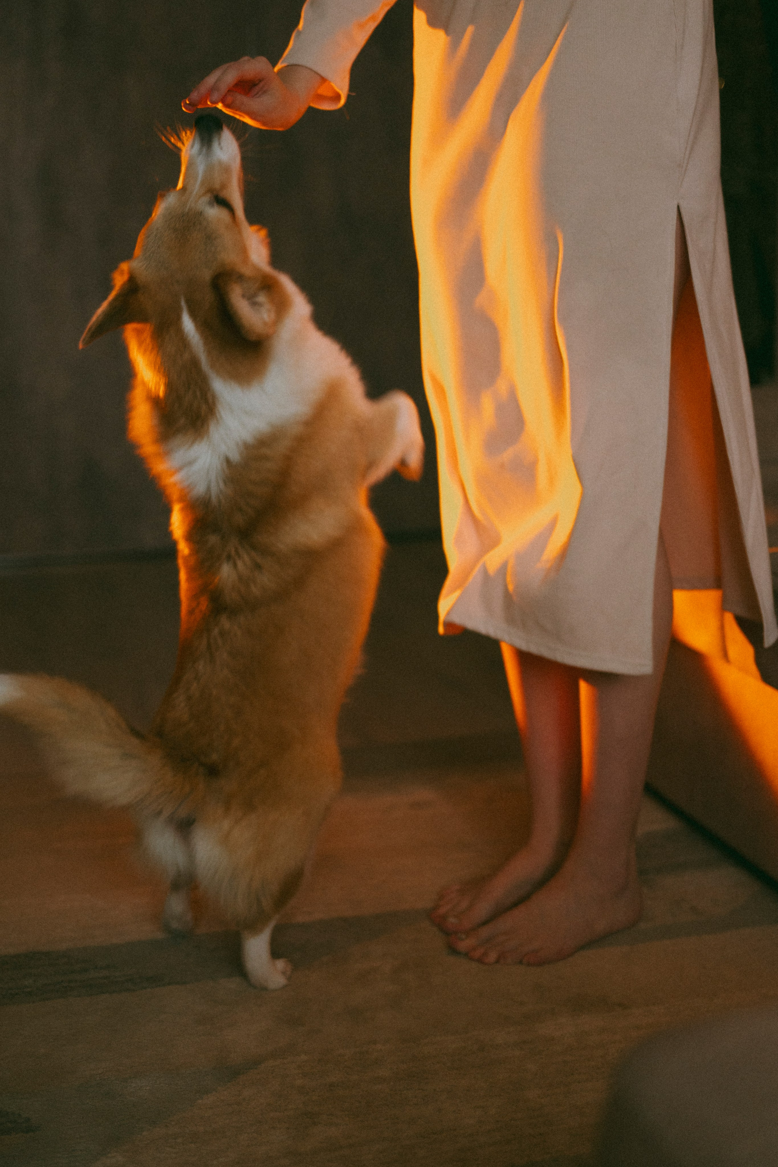 Рецепт семейного счастья). Свадебный и семейный фотограф в Йошкар-Оле, Питере и Казани Александра Богинич