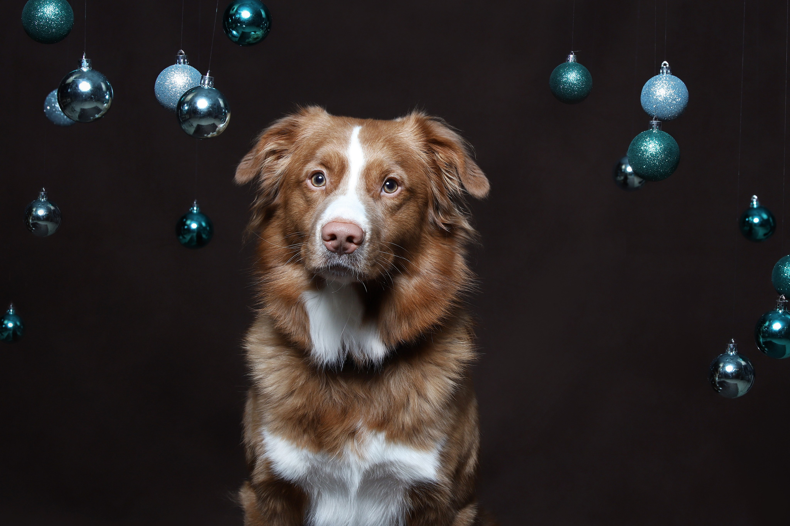 Ричард. Юлия Микульская. Рыбинск