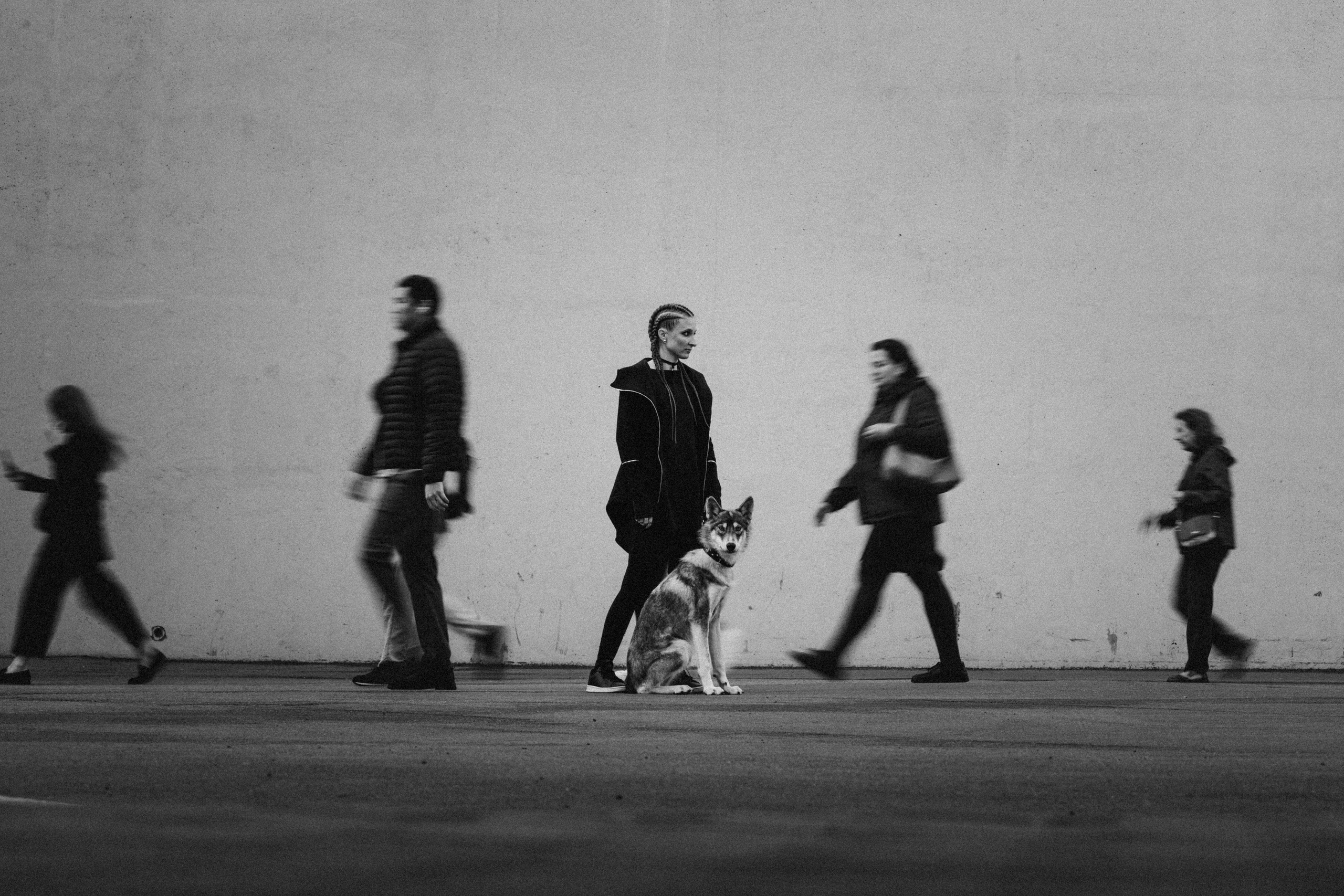 Вика и Кора. Семейный фотограф анималист Ананьева Мария — Москва