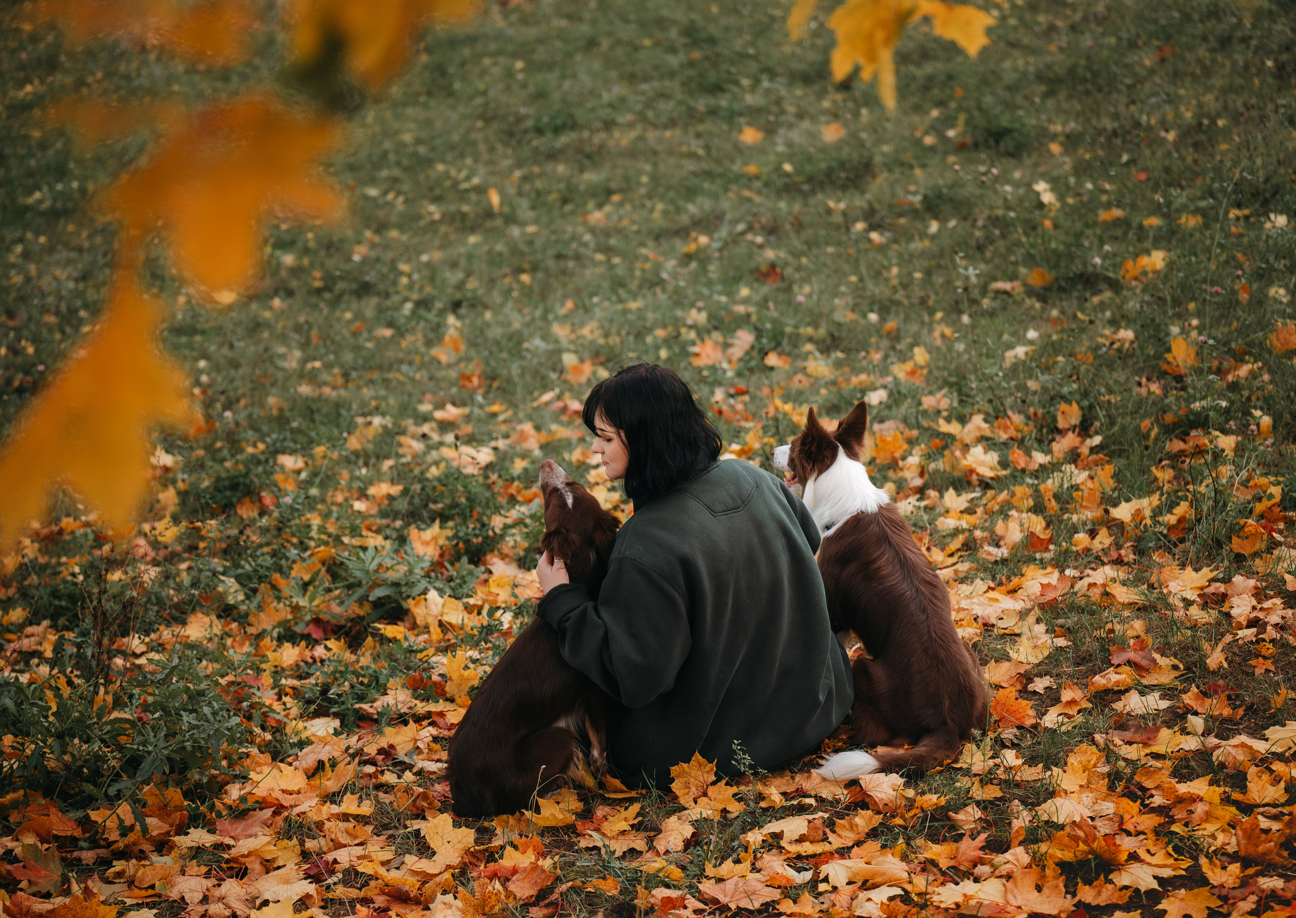 Даша, Мика и Теллур. Семейный фотограф анималист Ананьева Мария — Москва