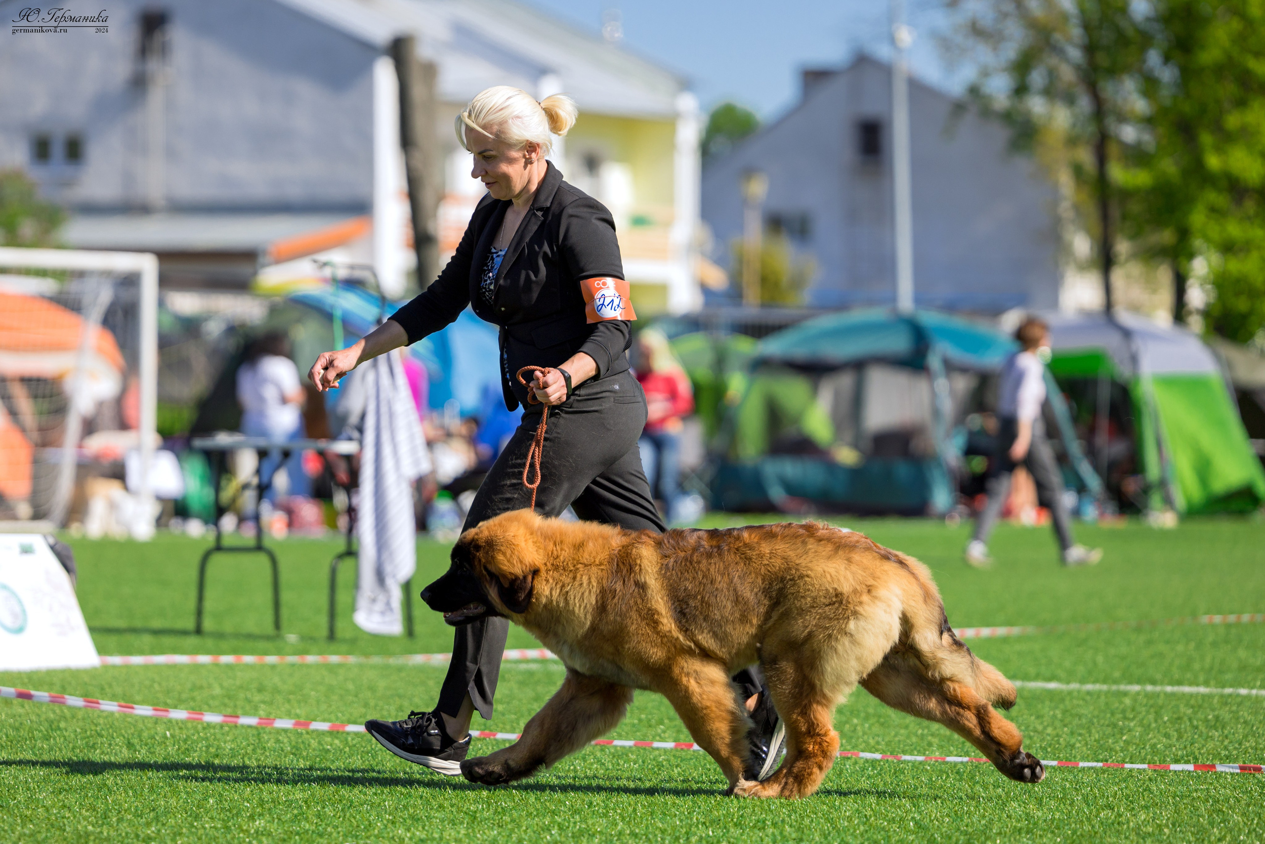 Суздаль 18-19.05.2024. Фотограф-анималист Юлия Германика