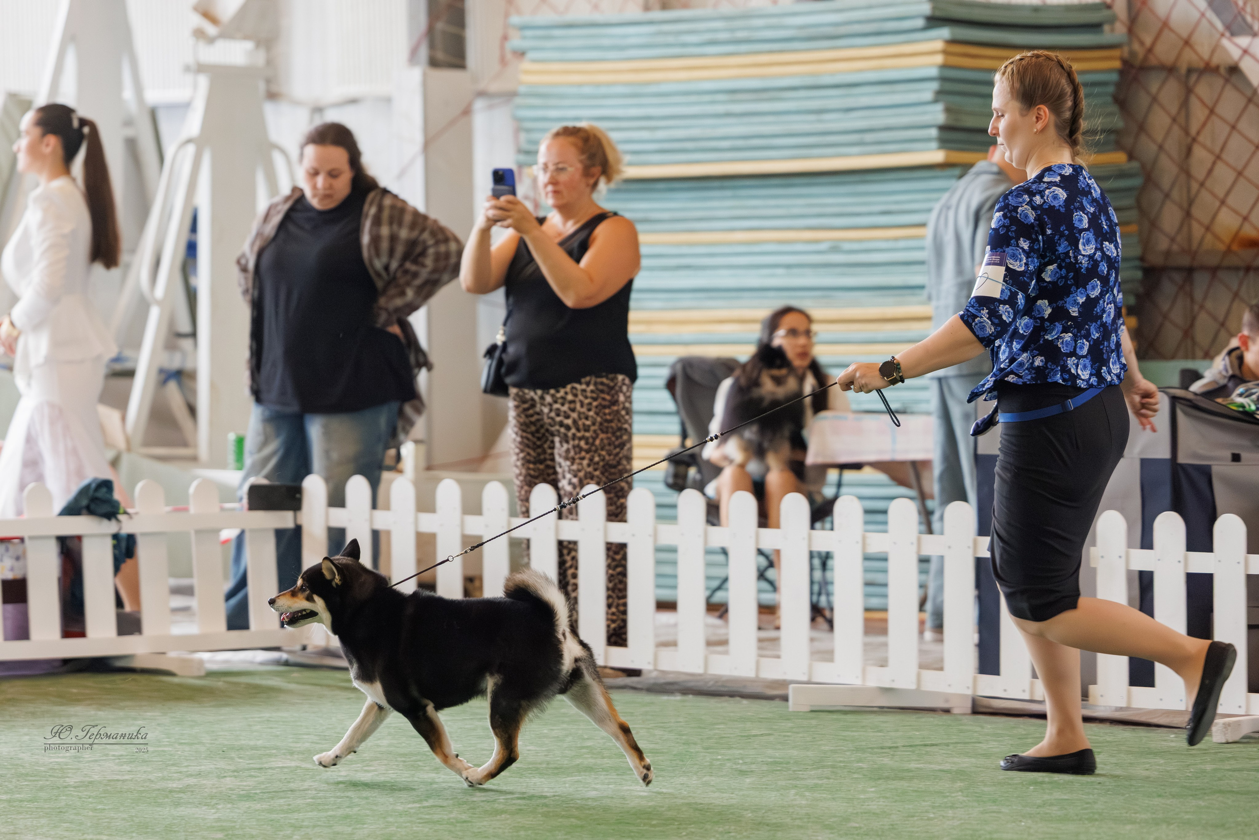 Батуми 3хCACIB 27-29.06.2025. Фотограф-анималист Юлия Германика