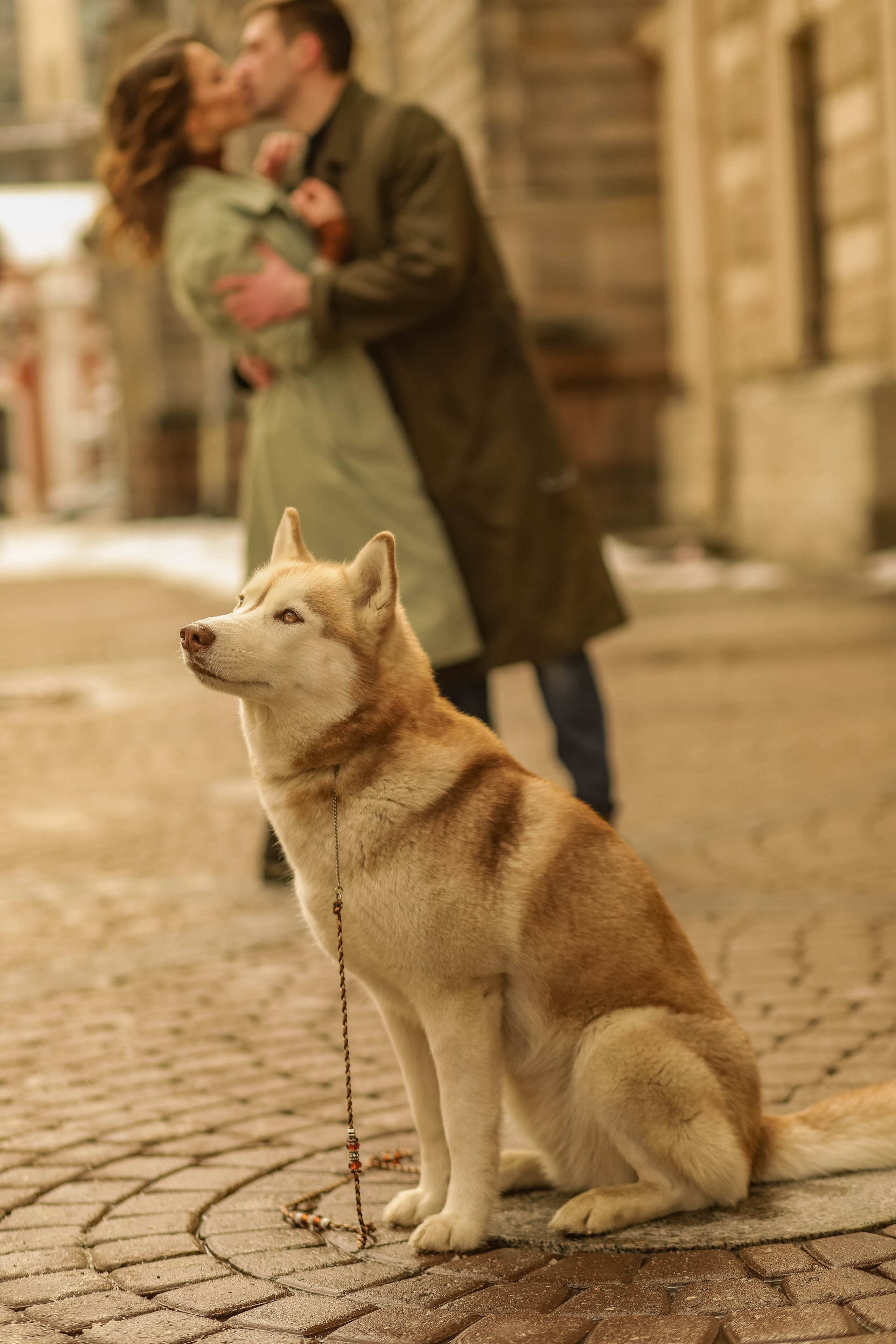 Лавстори. Семейный свадебный интерьерный фотограф Тверь Санкт- Марина Свистунова