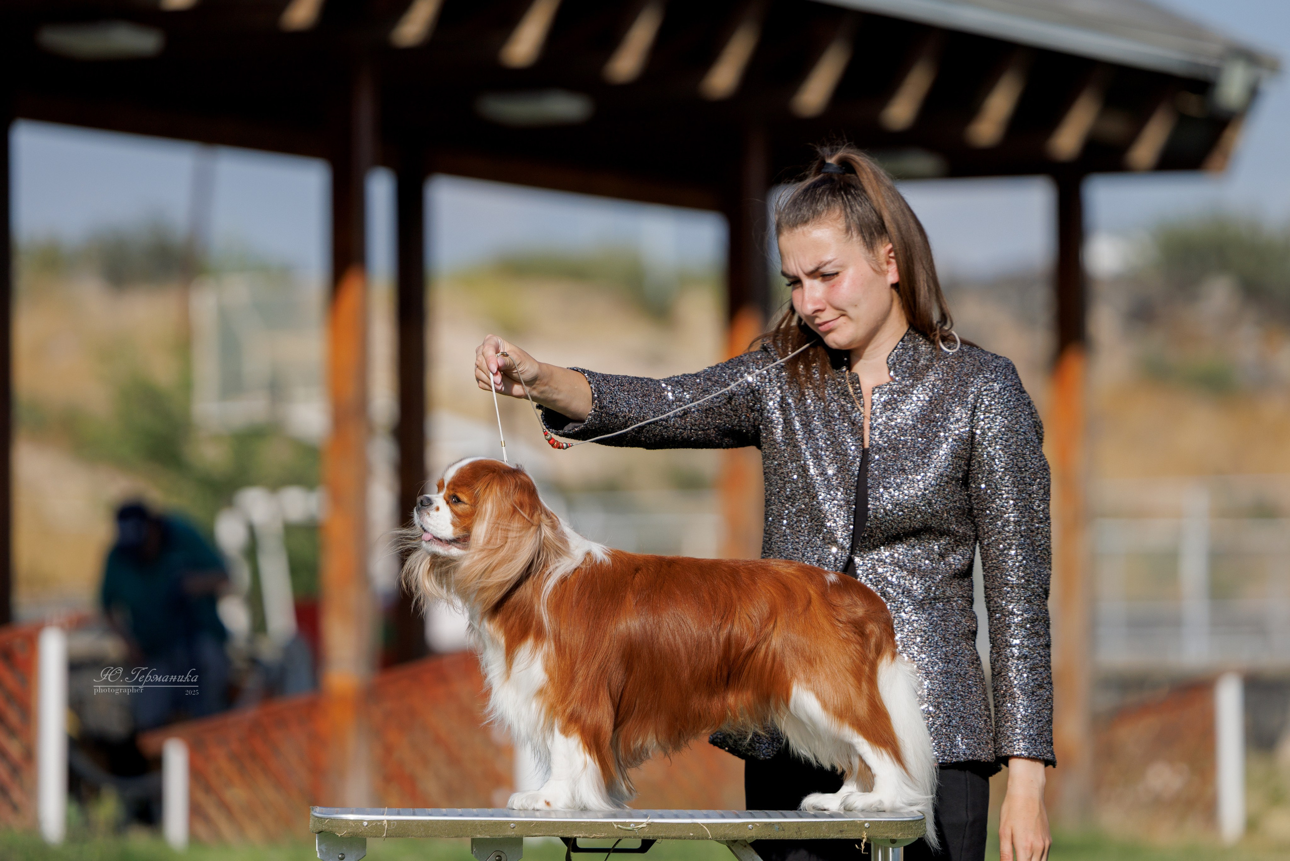 Ереван 3хCACIB 23-25.06.2025. Фотограф-анималист Юлия Германика