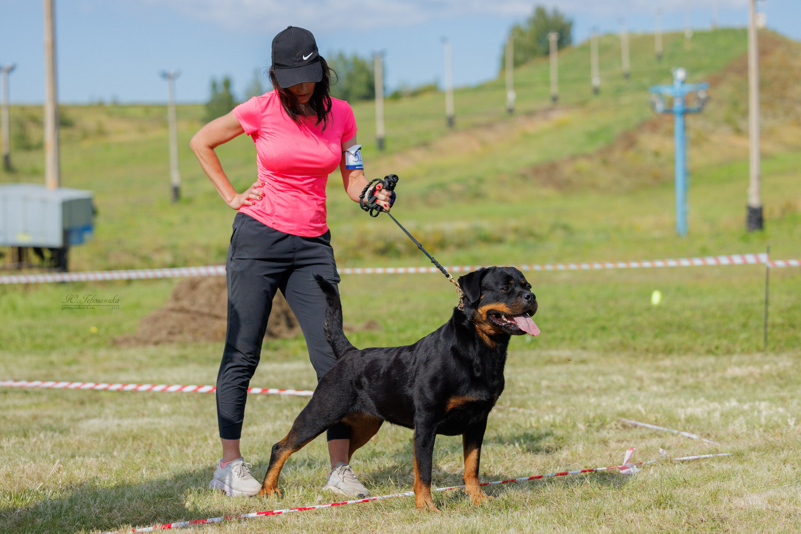 Рязань-Ховрино 10-11.08.2024 3хмоно ротвейлеров. Фотограф-анималист Юлия Германика