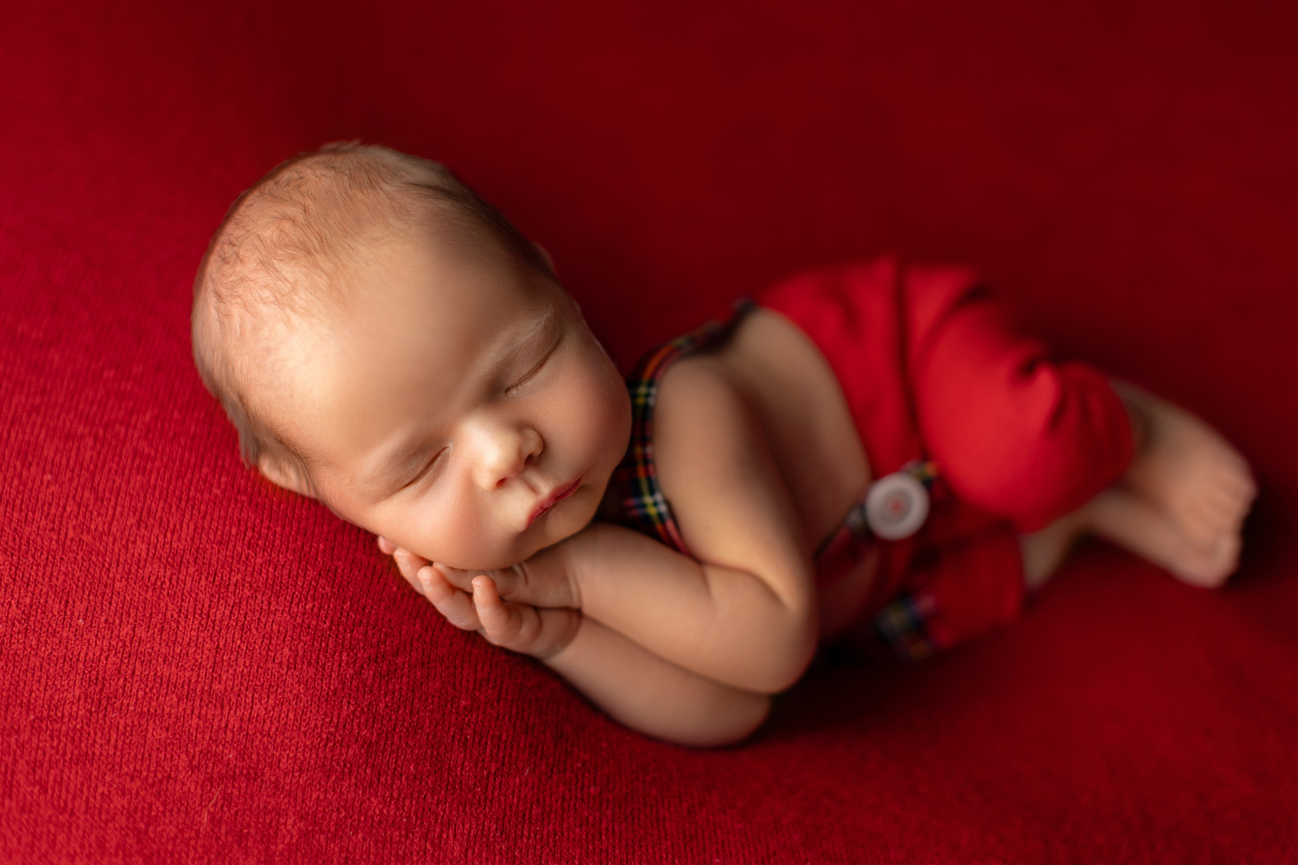 Bordo. Фотограф новорожденных, семейный фотограф в Санкт-Петербурге