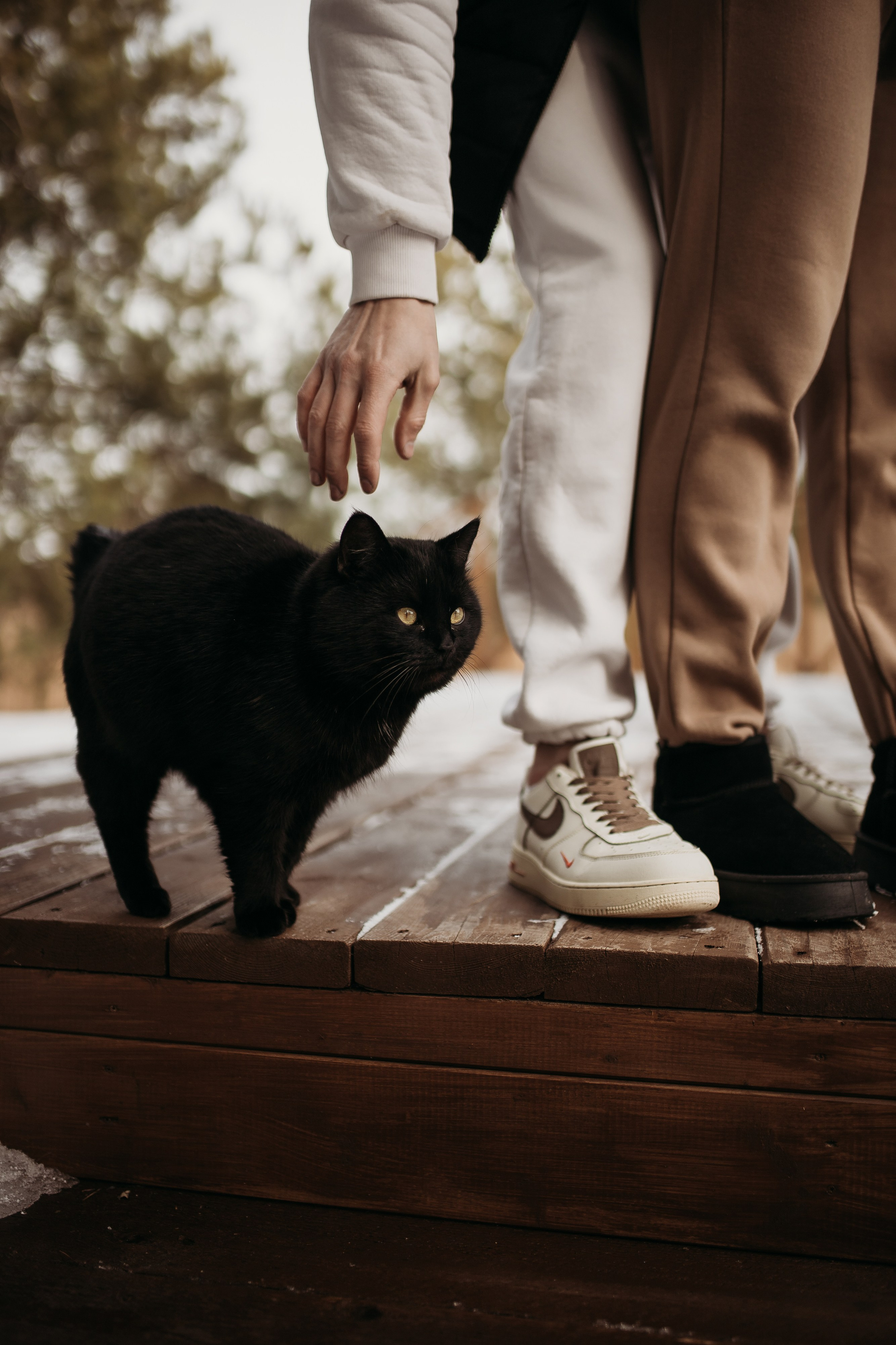 Агата и Женя. Семейный фотограф Губкин/Старый Оскол