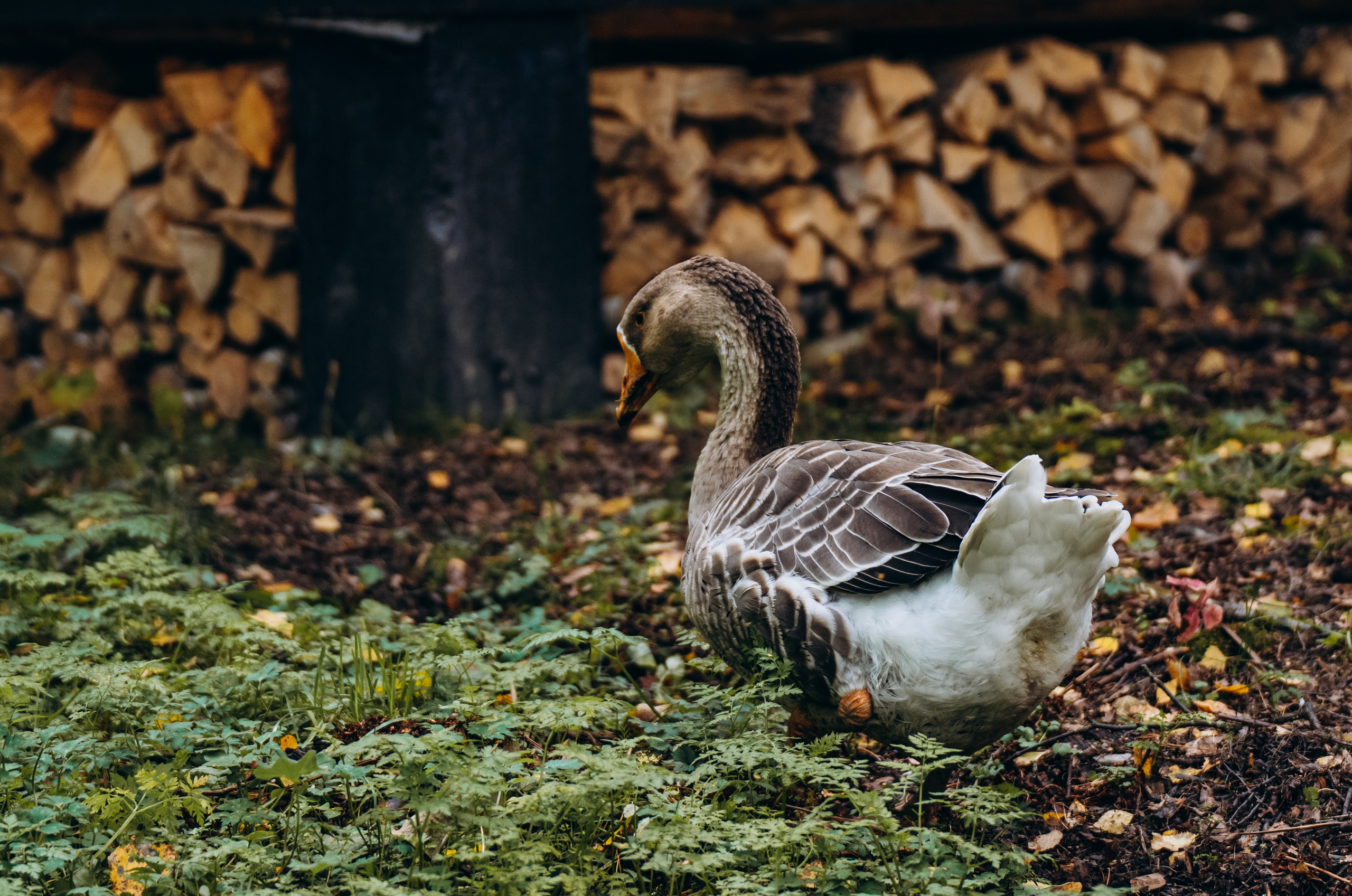 СЕВЕР. Event фотограф Степанова Александра