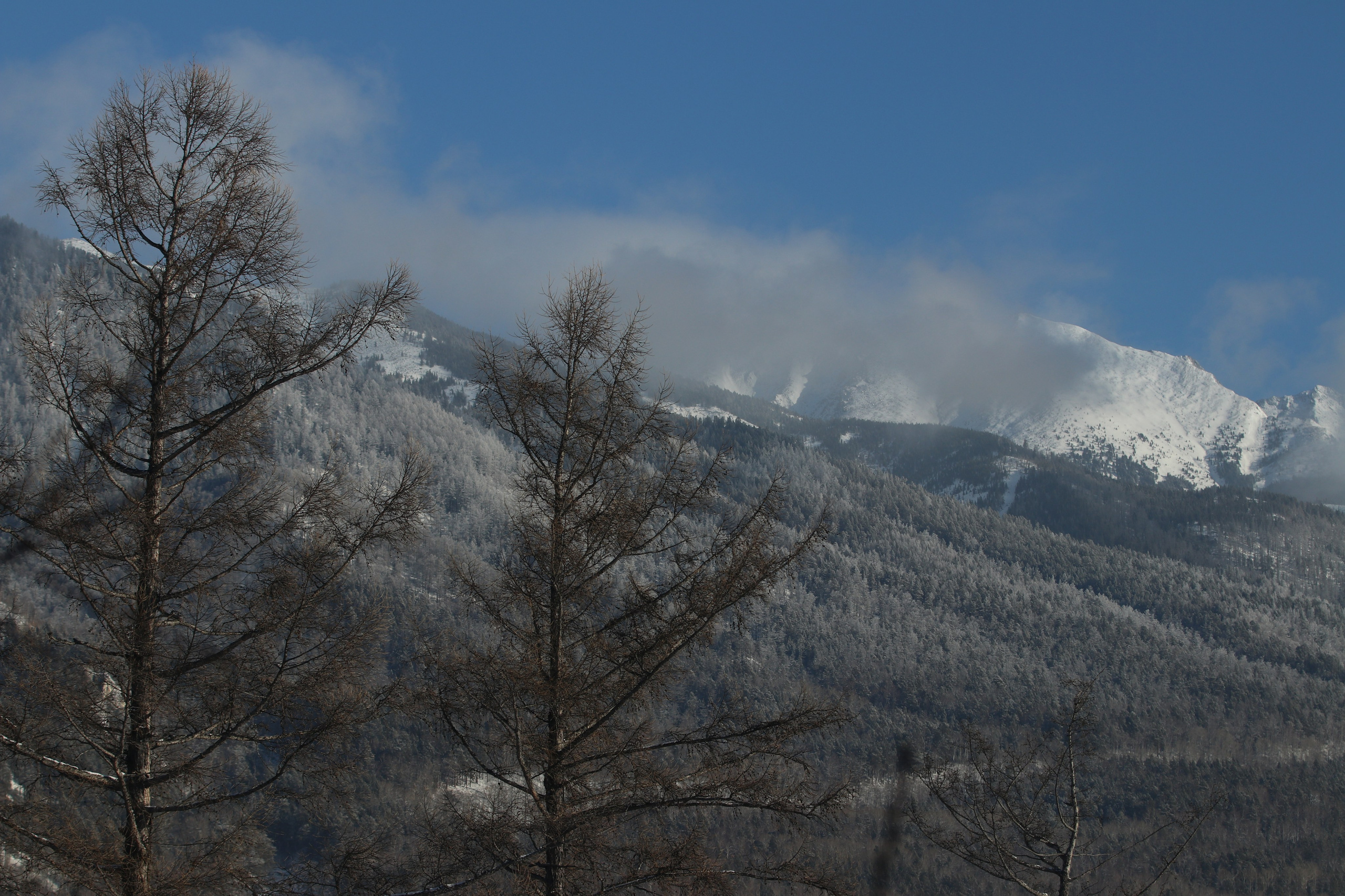 Аршан. Январь 2024. Путешественник-фотограф из Санкт-Петербурга Татьяна Свистулина