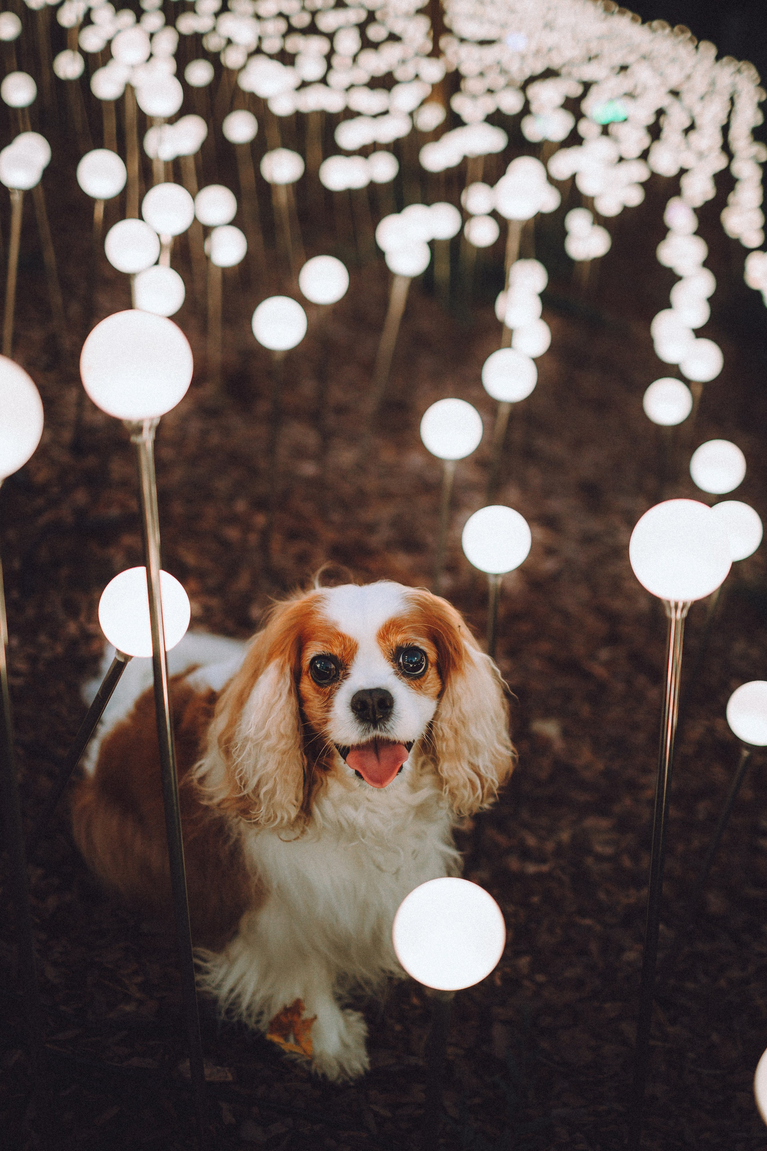 Наташа и Вики