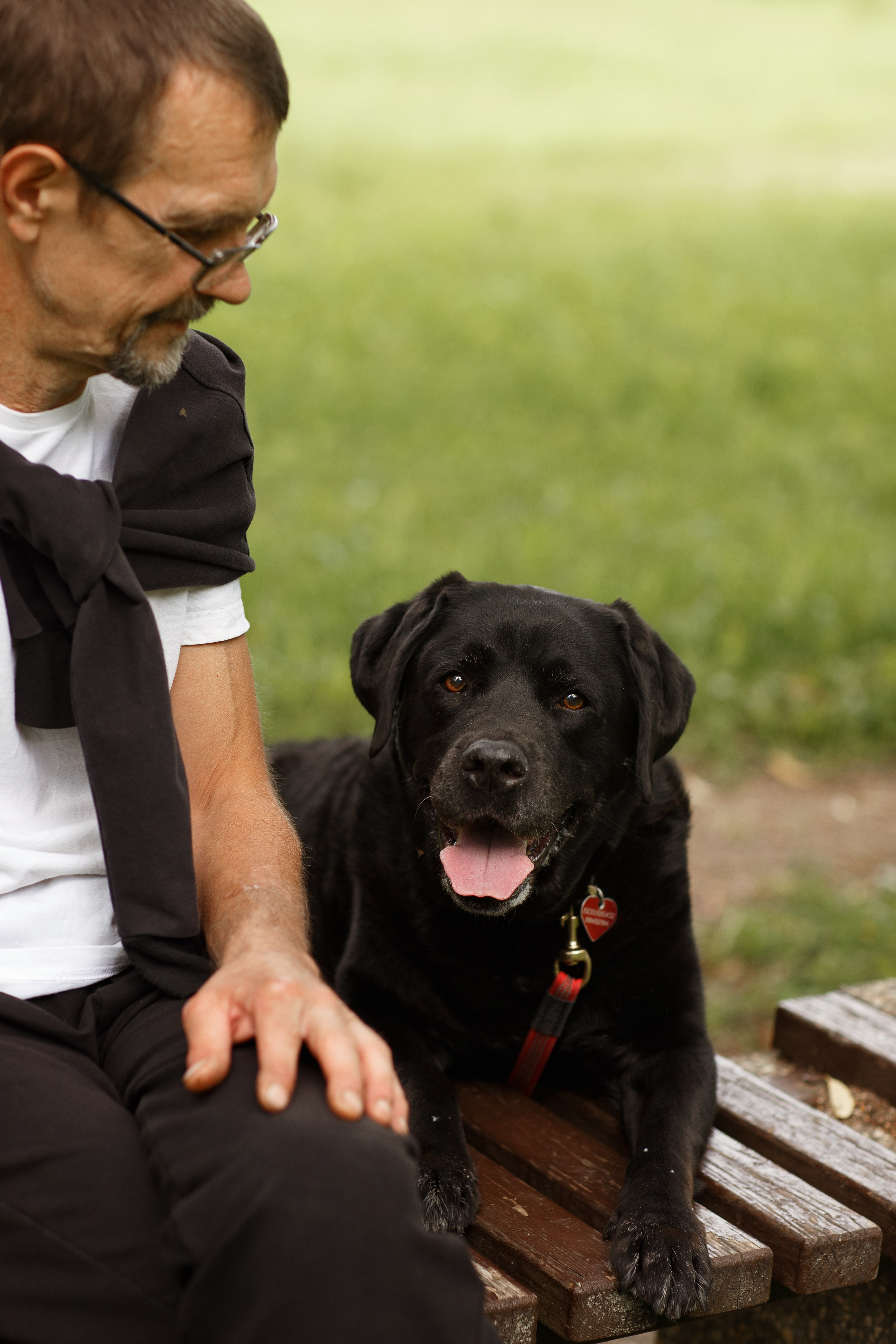 Александр и Мона. Фотограф — Анималист Наталья Тямушева
