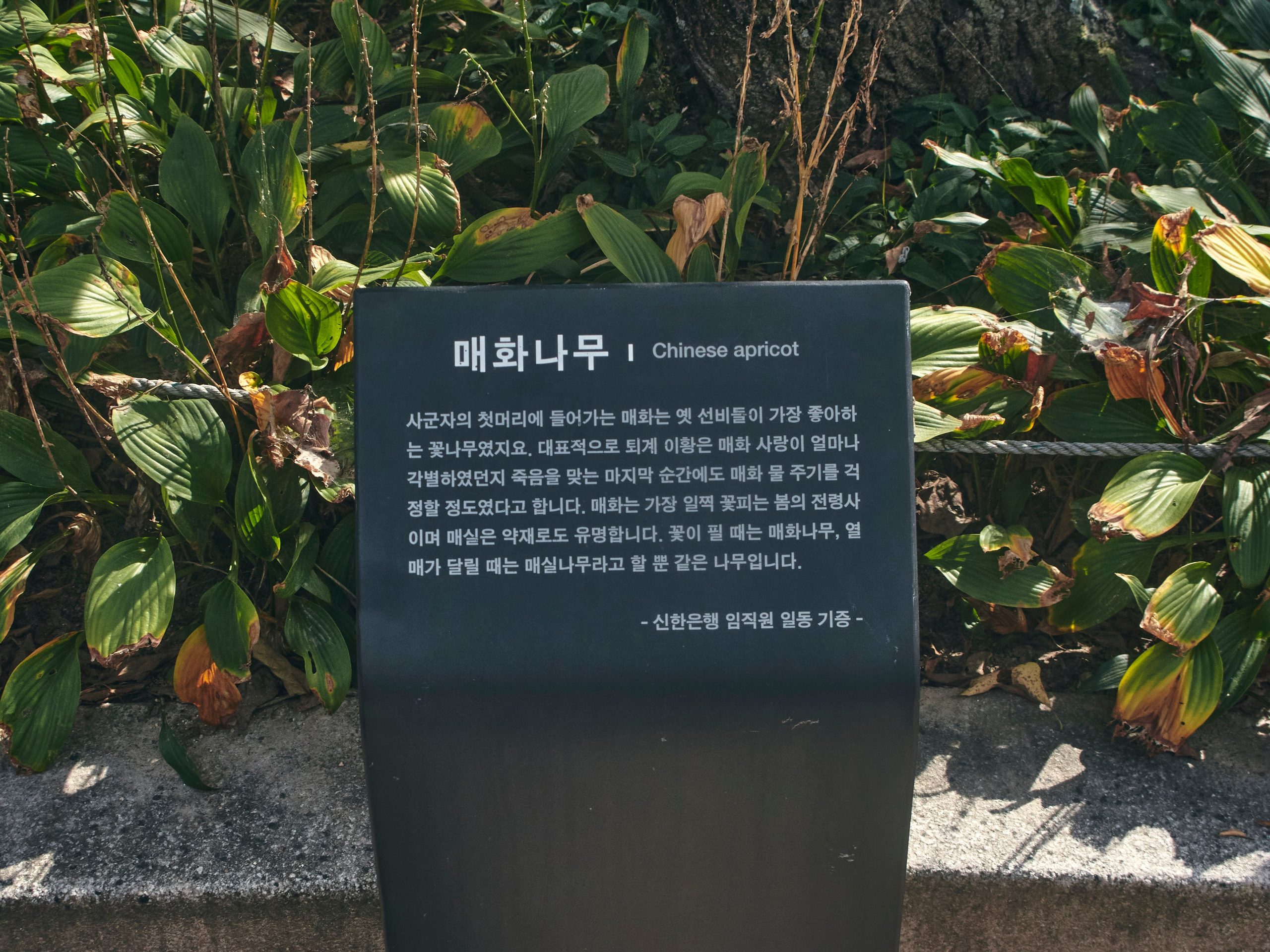 TRAVEL. Фотограф Наталья Леонова