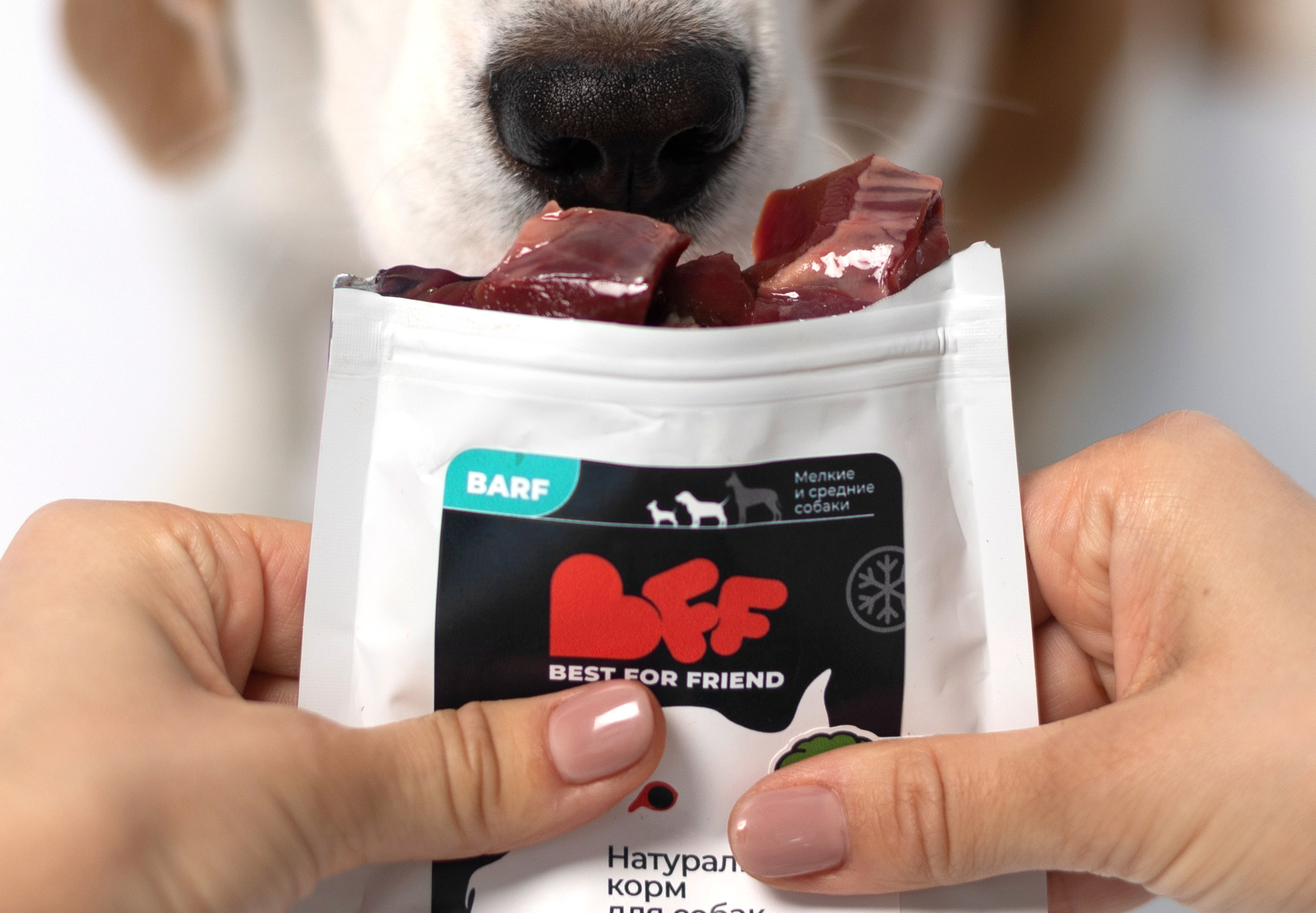 Best for friend (BFF). Фотограф анималист Кристина Карпова, Москва