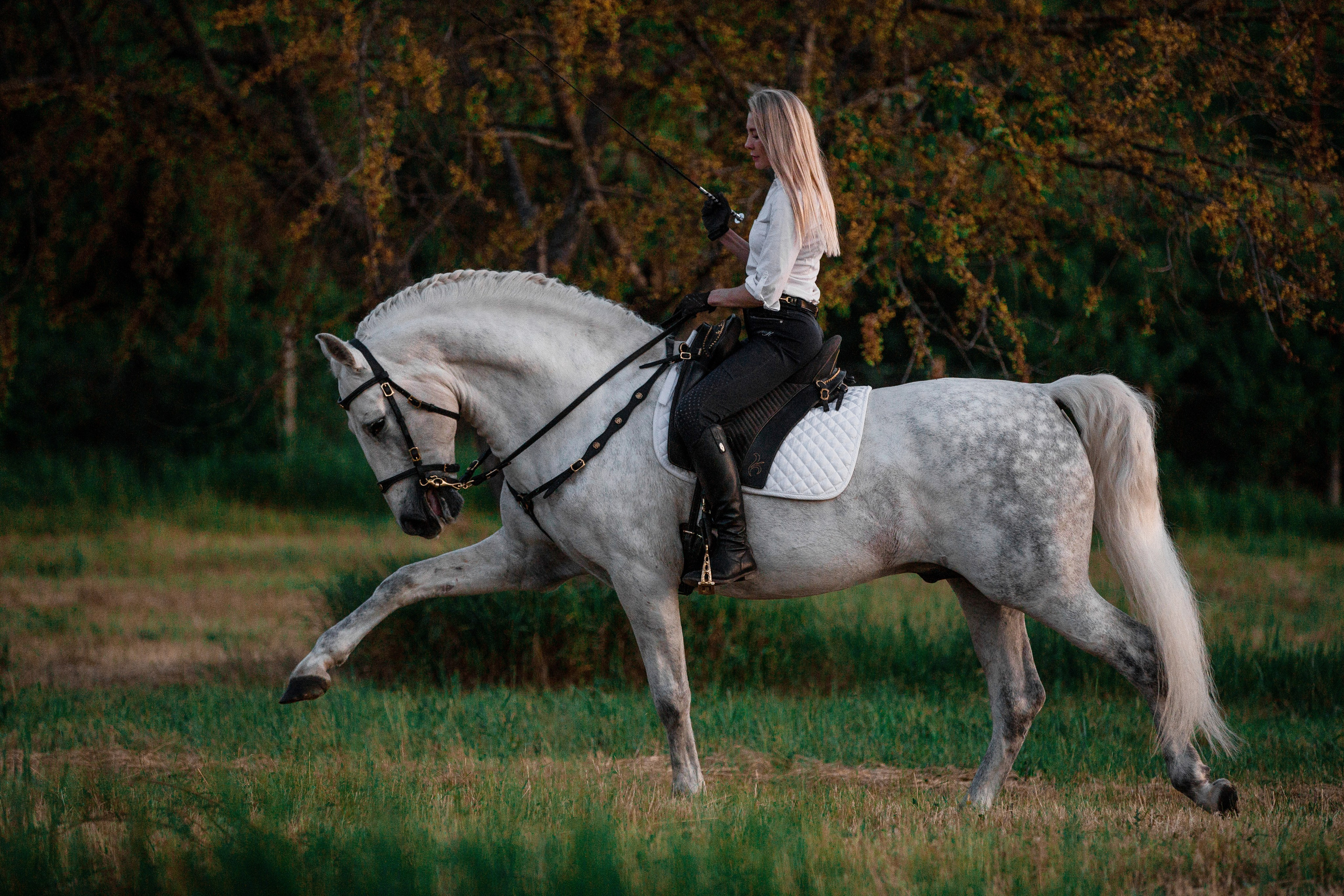 Натали и Цезарь. Фотограф-анималист Ксендзова Кристина