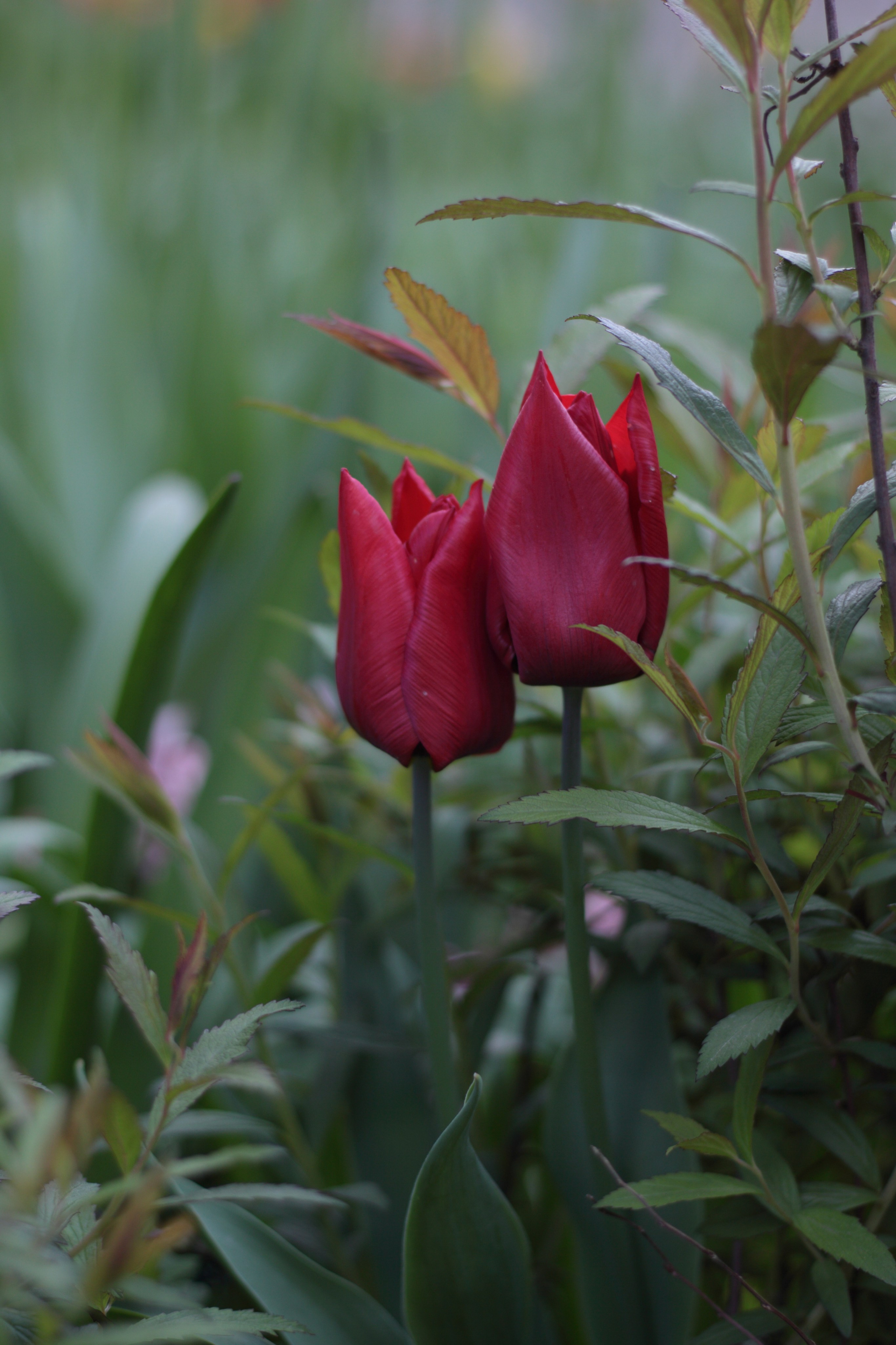 Старое природное, отбирала Katamount (Катерина Горохова). Главная