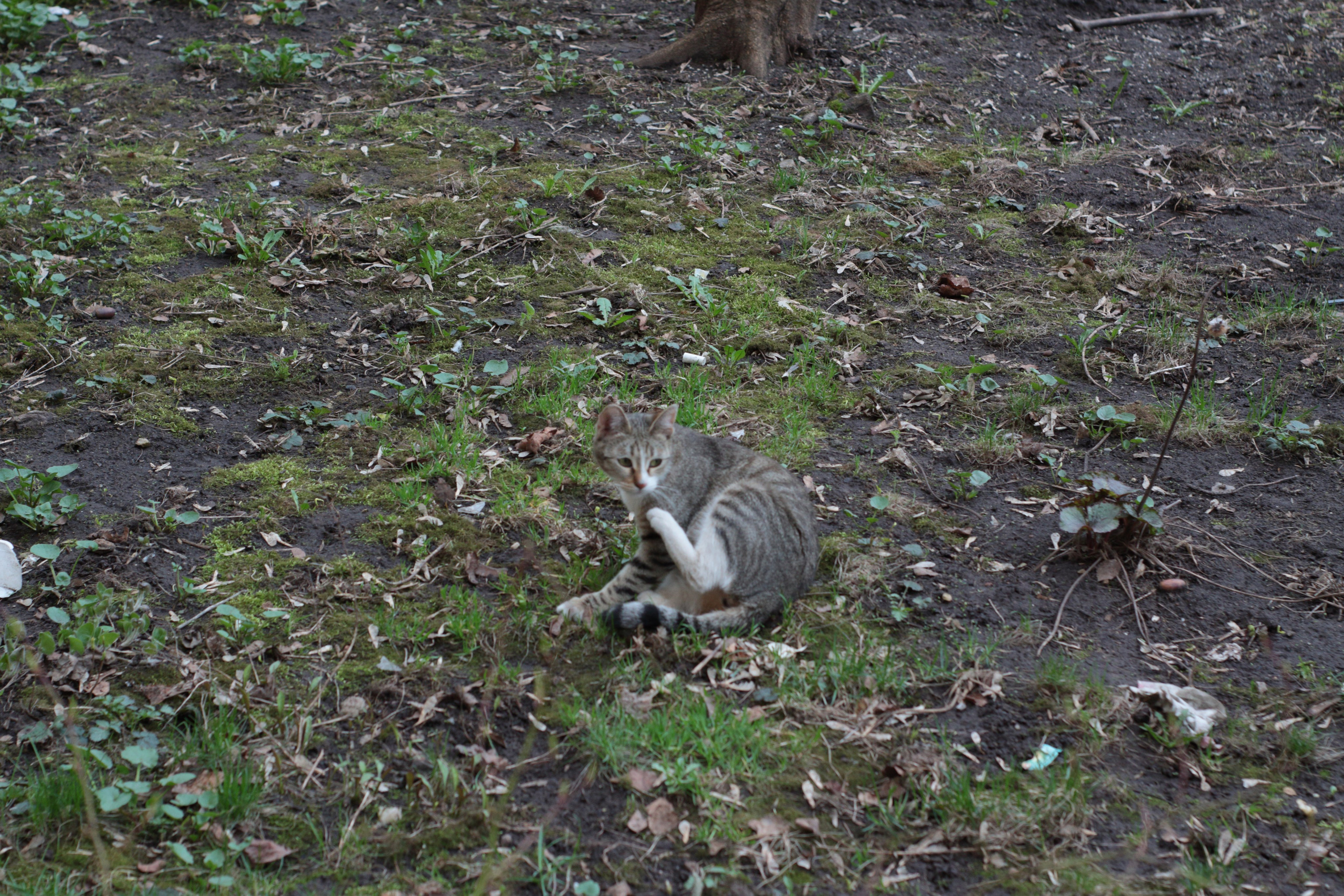 Старое природное, отбирала Katamount (Катерина Горохова). Главная