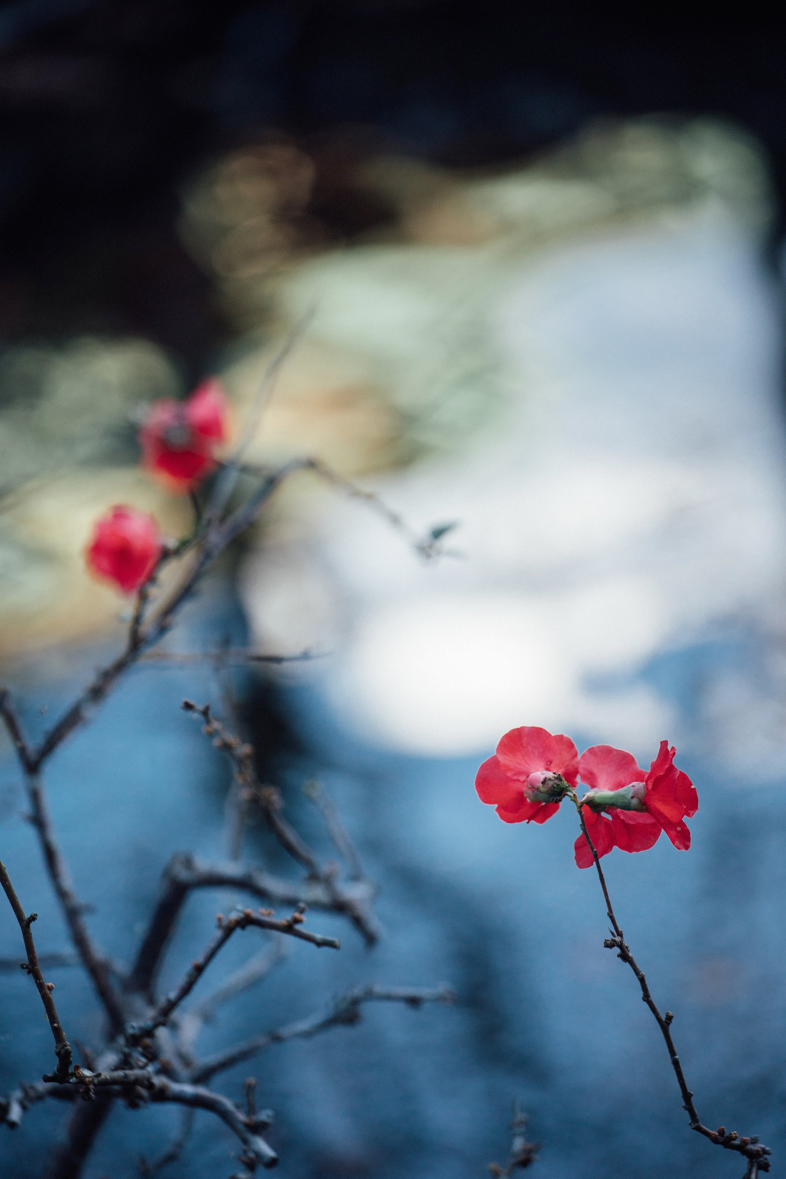 Япония. Главная