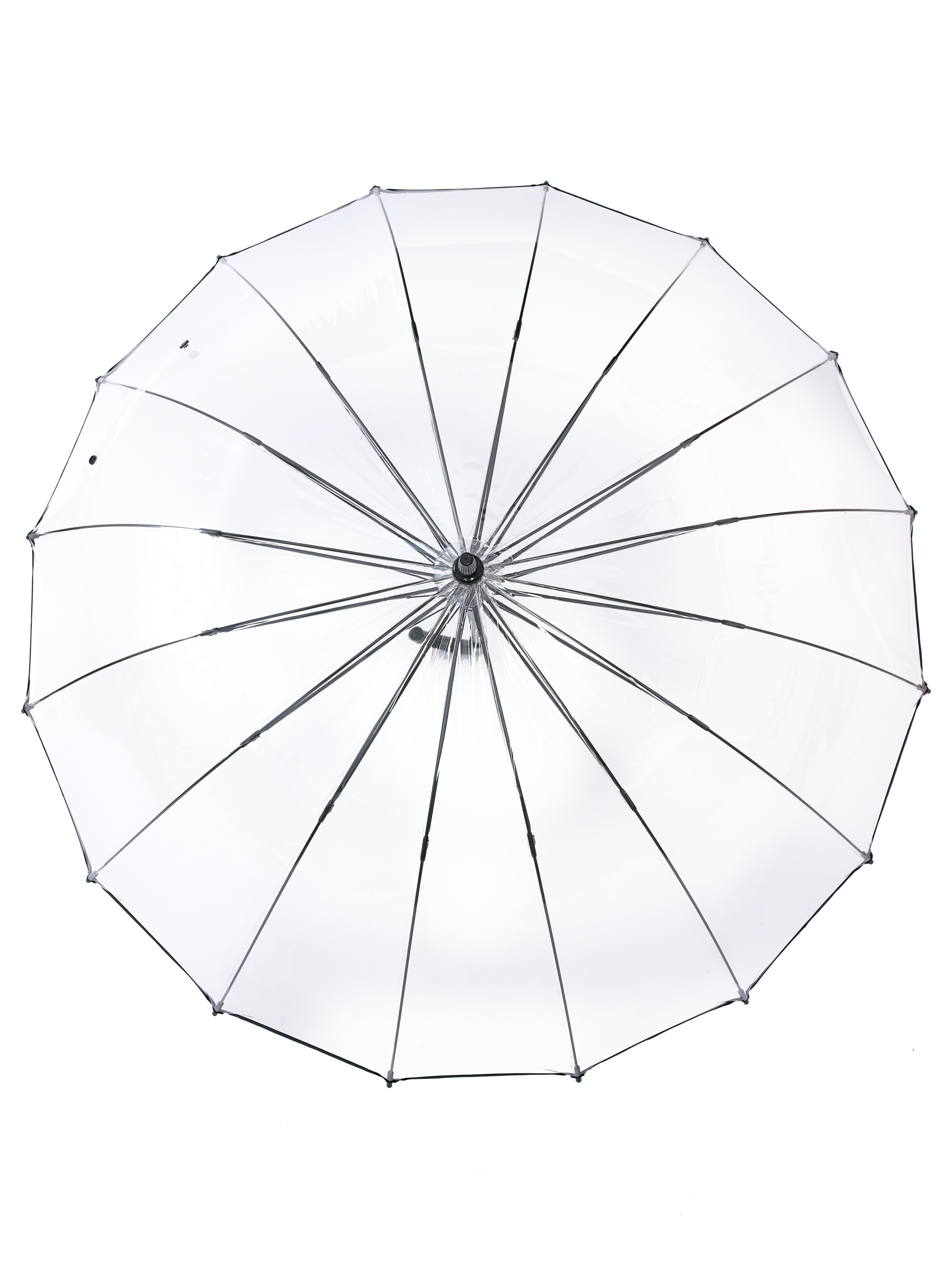 Dolphin. Zubkov Jan Hochzeitsfotograf Deutschland