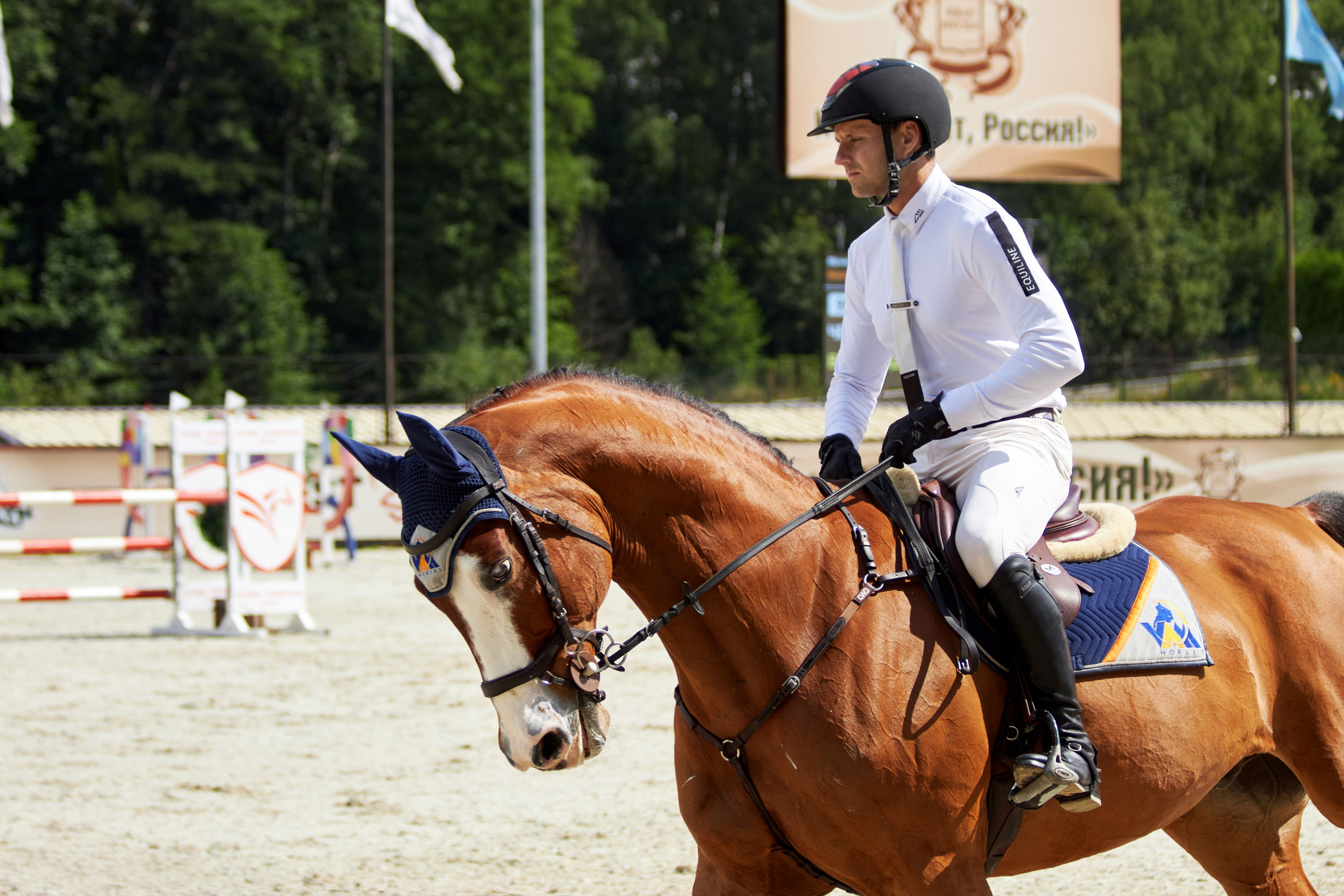 Конкур в «Виват, Россия». Фотограф анималист — Тула, Москва
