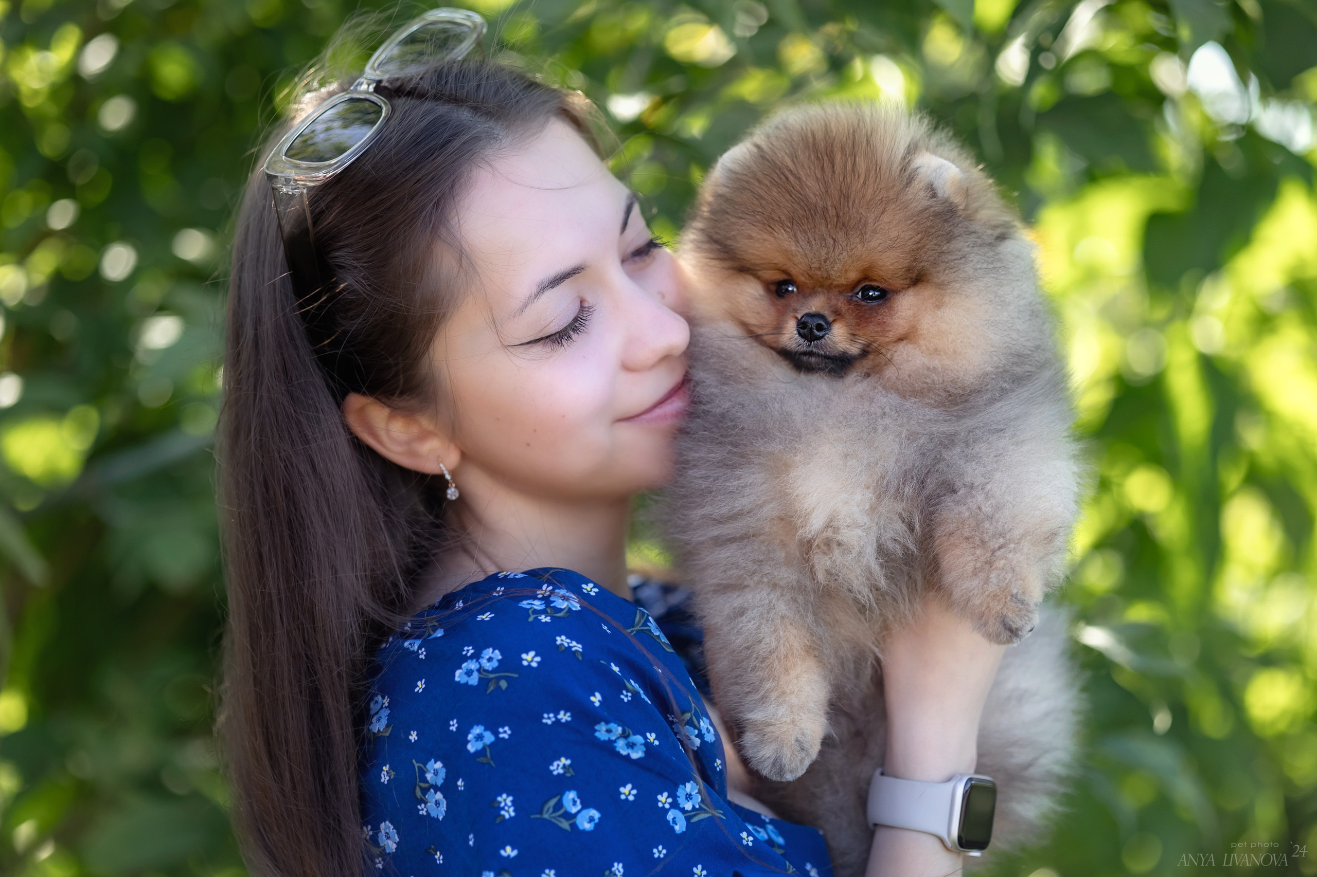 Шпицы. Фотограф анималист Аня Ливанова | Рыбинск