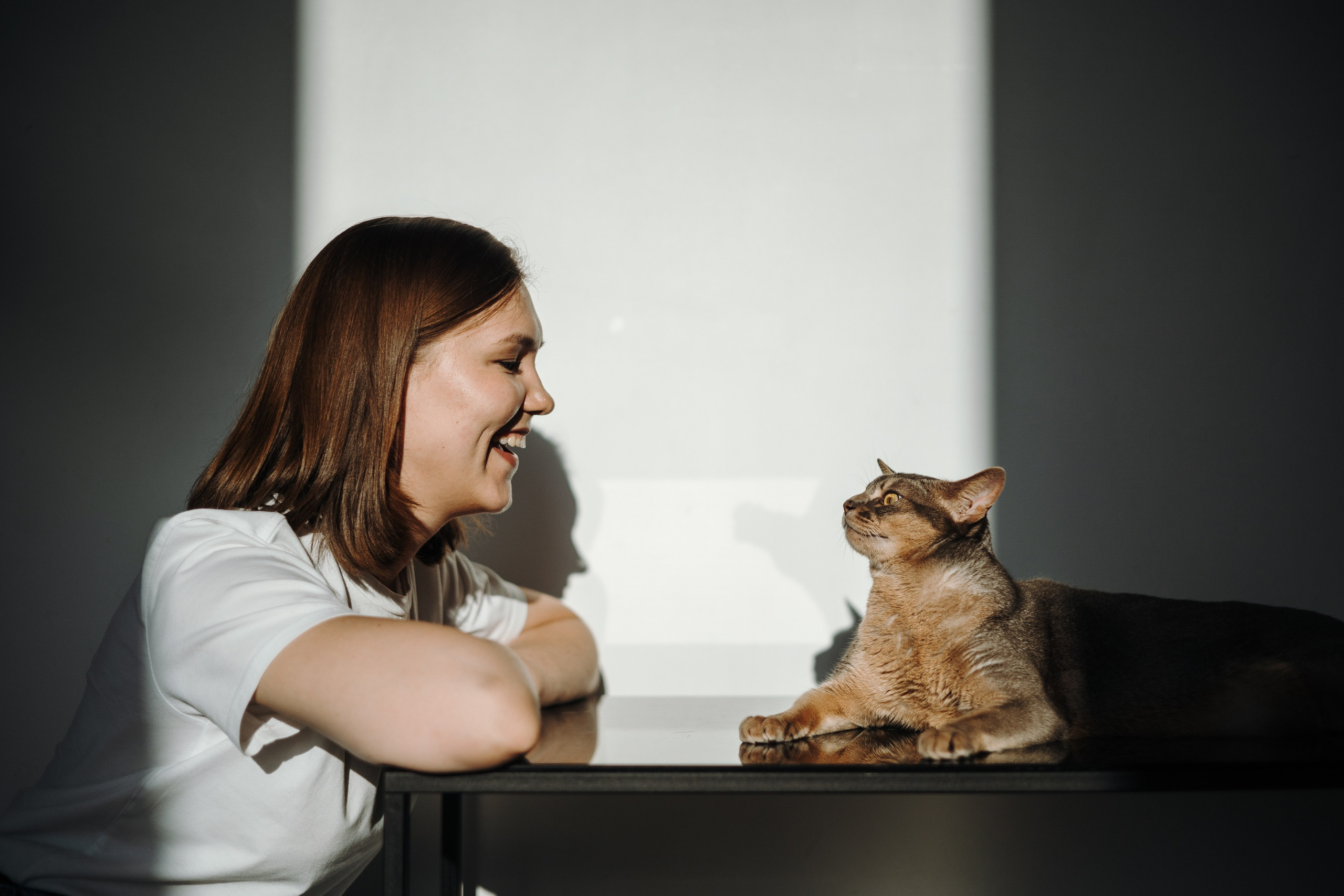 Циско и его семья. Фотограф — Анималист | Санкт-Петербург