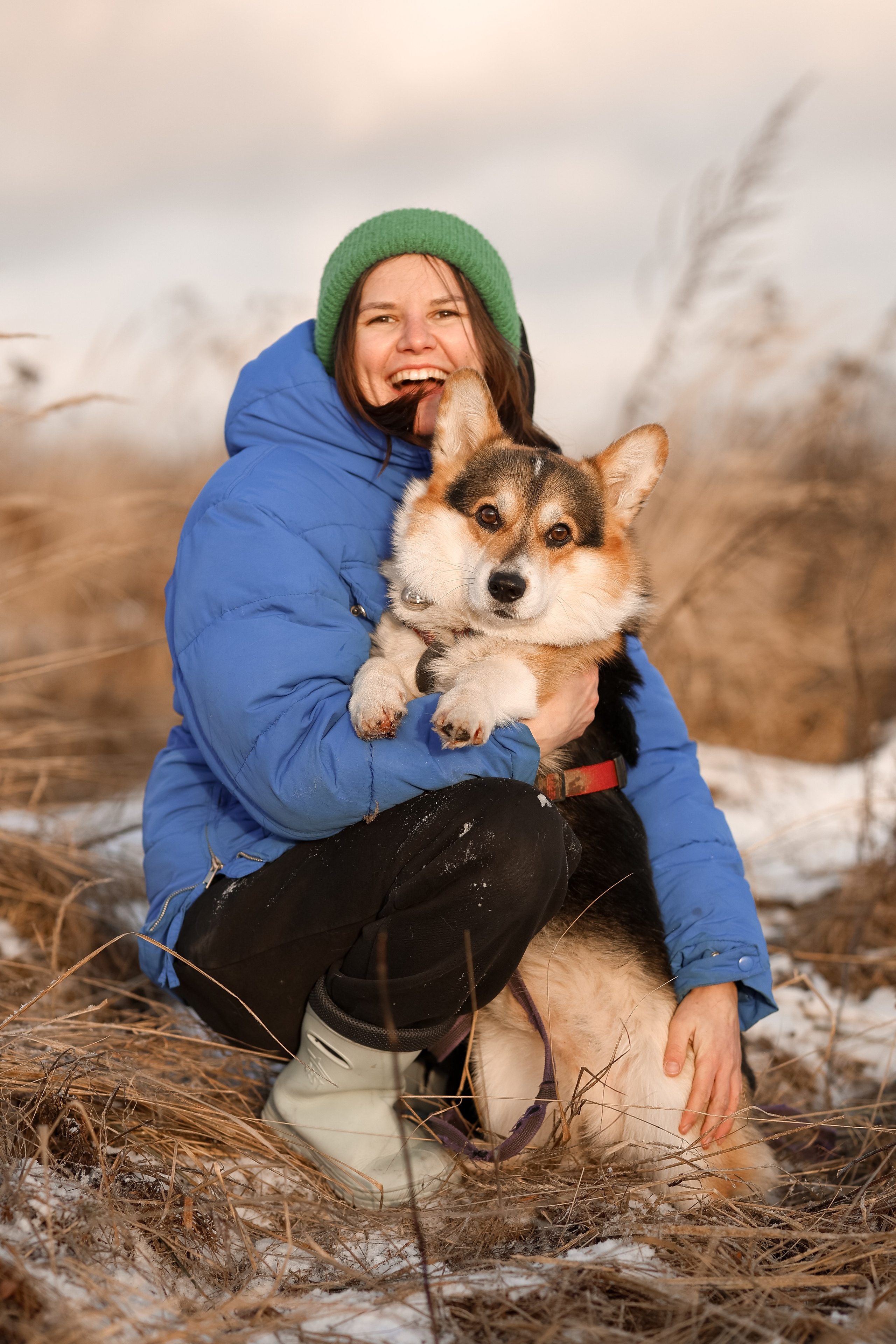 Трой, Балу и Катя. Фотограф-анималист в Москве Кириллова Татьяна