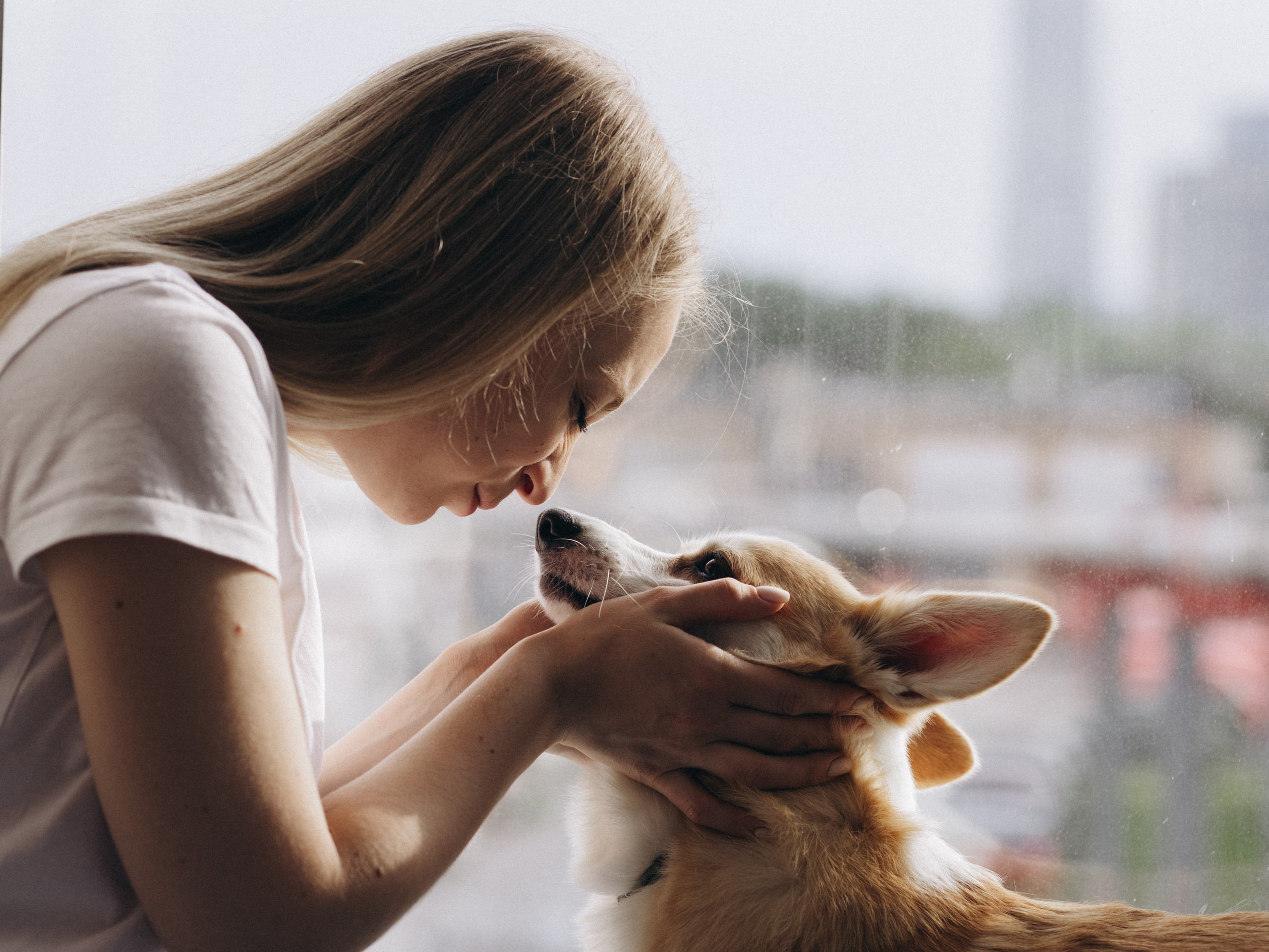 Оливка и Ника. Фотограф-анималист в Москве Кириллова Татьяна