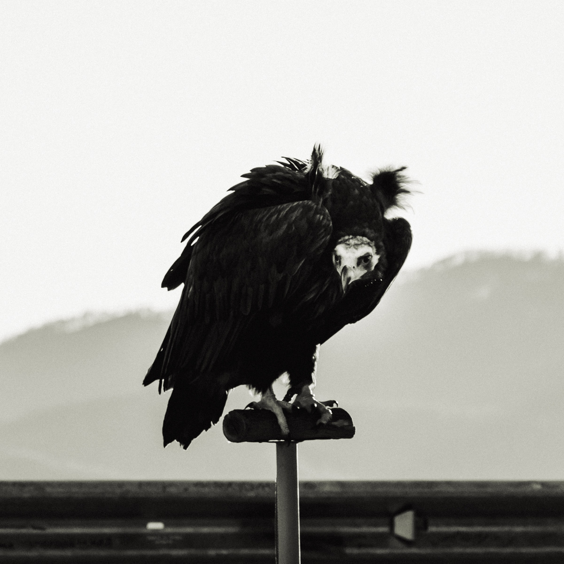 Other. Фотограф Абакан|Фрейман Никита