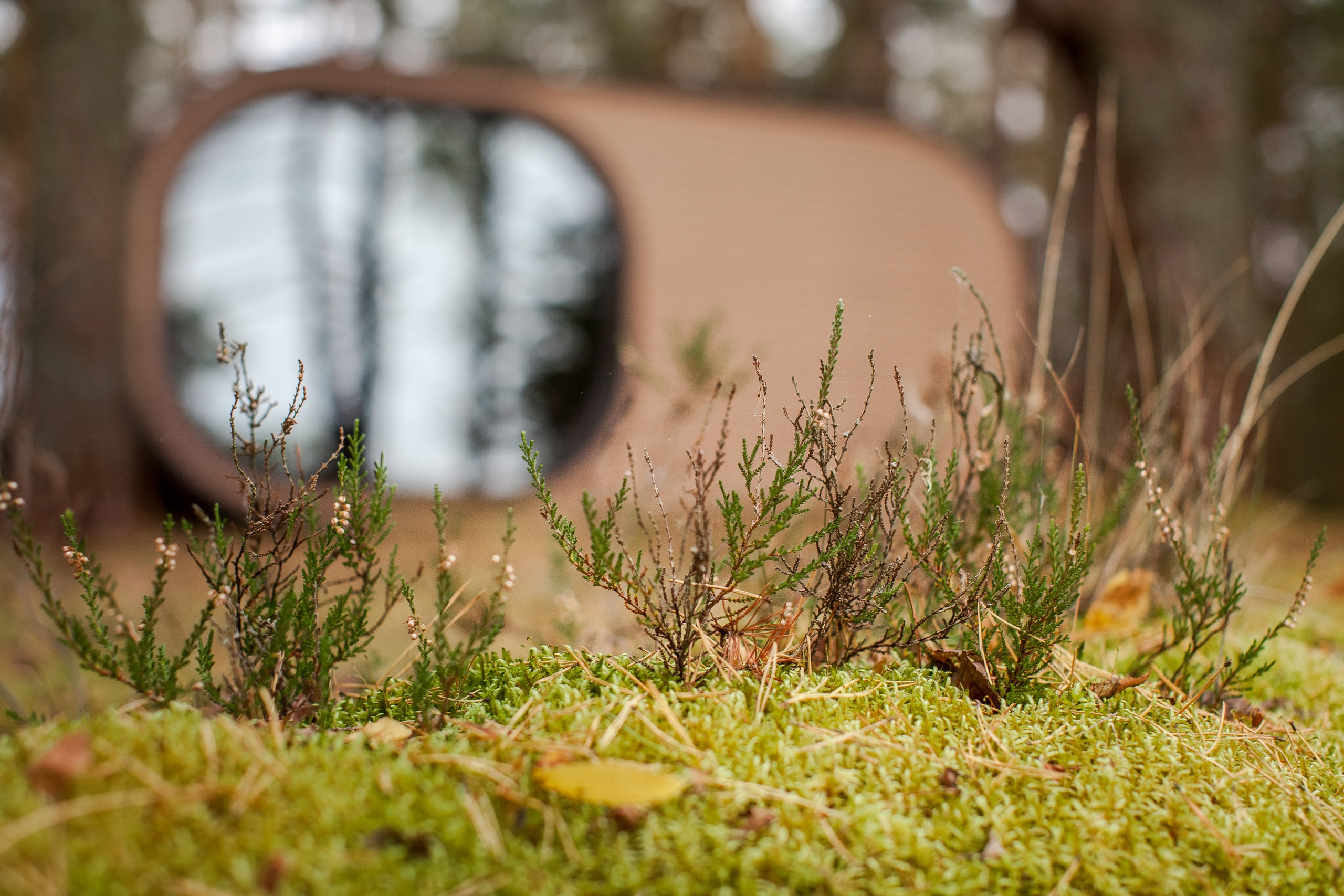 Остров «Свободы». Туманов Виталий — фотограф Москва