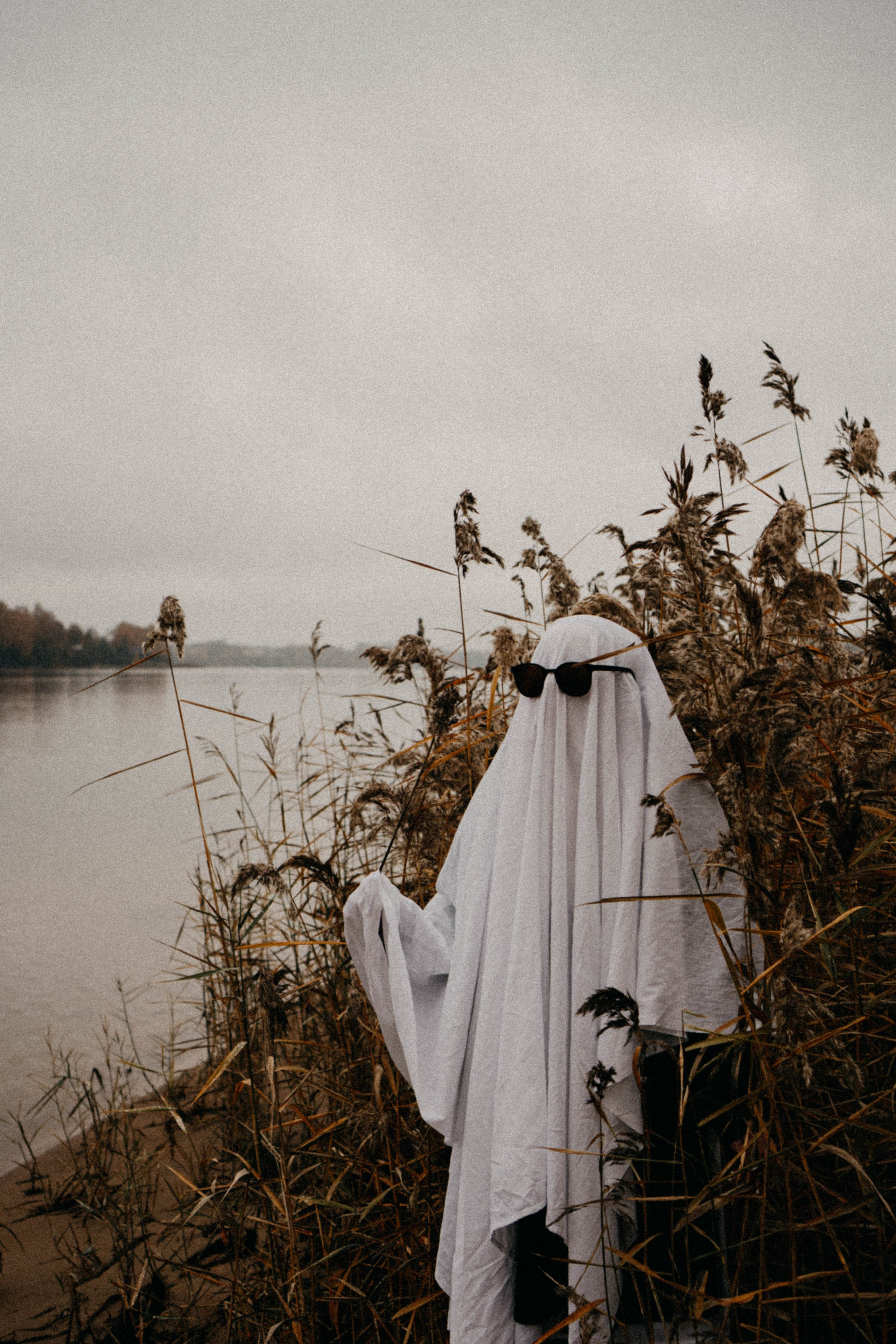 Осеняя. Профессиональный фотограф, Санкт-Петербург — Виктория Богомолова