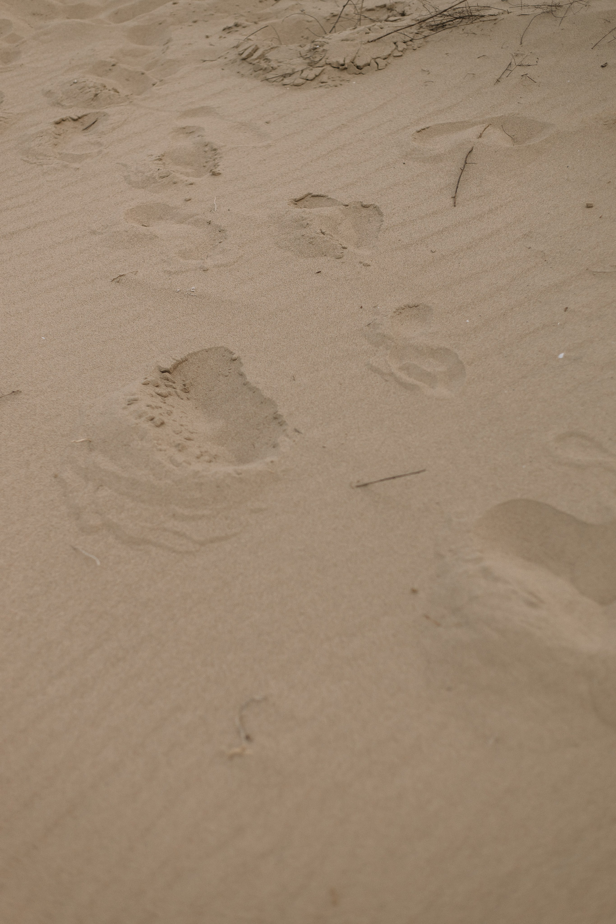 Виталий Карина. Фотограф Санкт-Петербург. Аврамова Анастасия