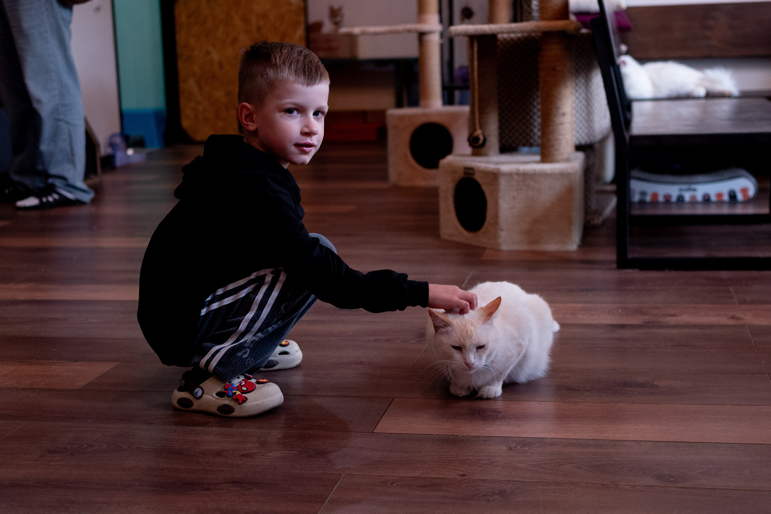 Репортаж котокафе «Чукотка». Женский фотограф Анастасия Миляева